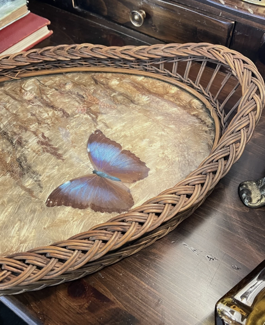 Screenshot 2026-03-13 at 4.00.30 PM.png