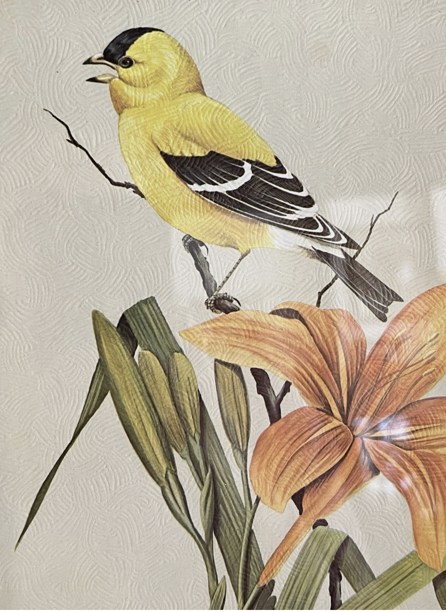 Screenshot 2026-04-16 at 10.57.38 AM.png