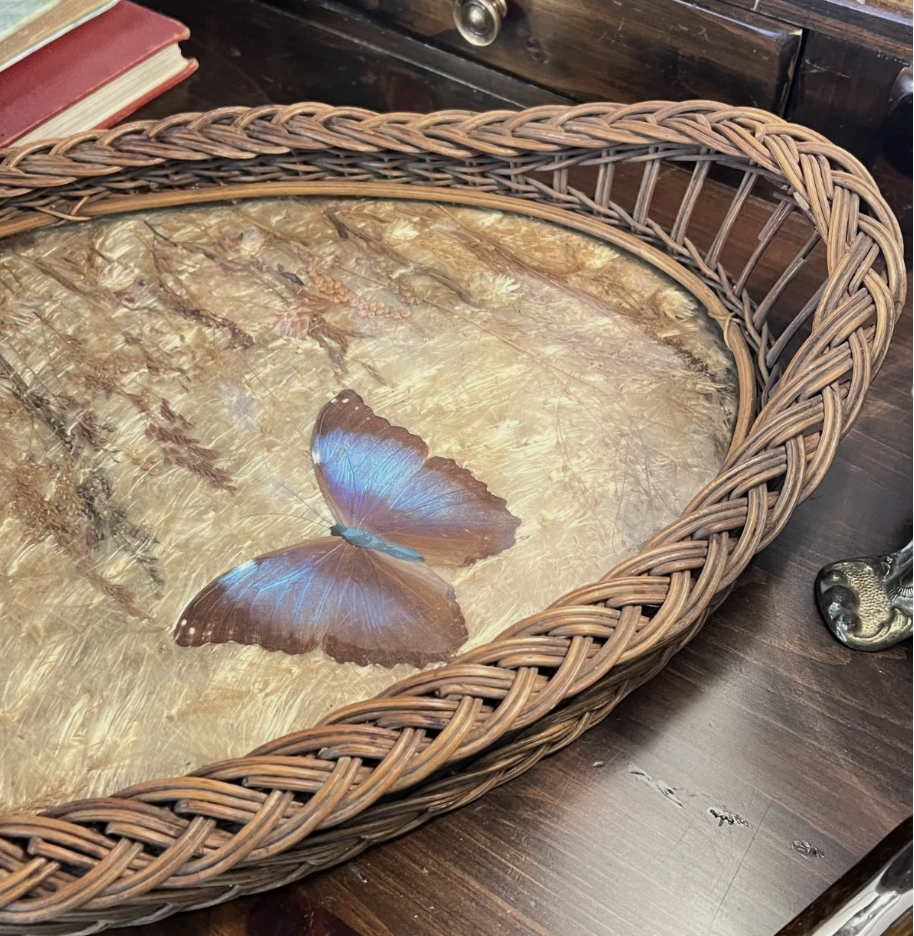 Screenshot 2026-04-29 at 12.39.59 PM.png