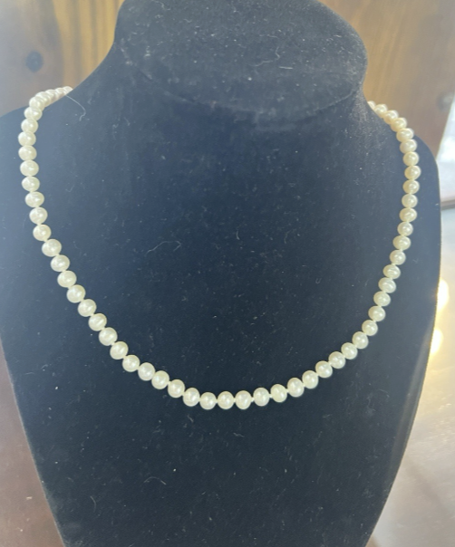 Screenshot 2026-02-02 at 12.21.39 PM.png