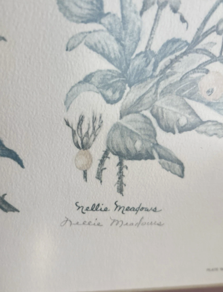 Screenshot 2026-04-09 at 1.11.15 PM.png