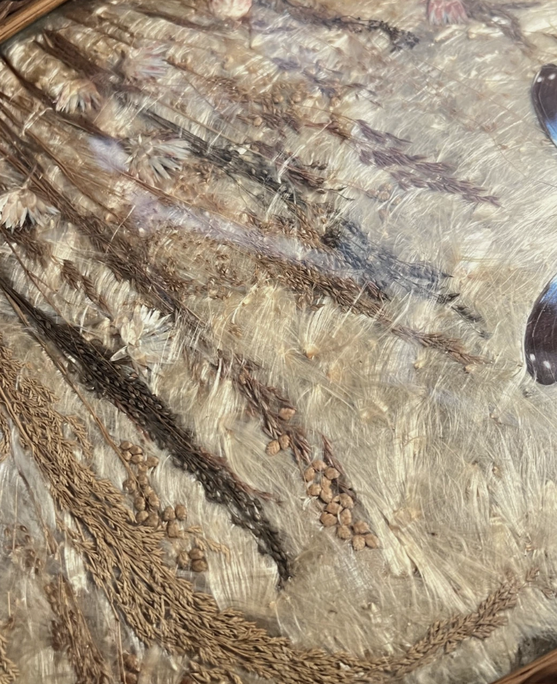 Screenshot 2026-04-29 at 12.40.19 PM.png