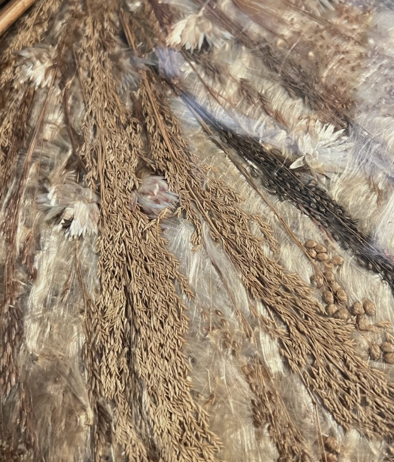 Screenshot 2026-04-29 at 12.40.15 PM.png