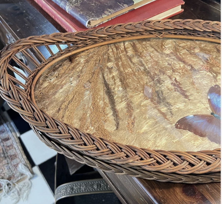 Screenshot 2026-04-29 at 12.39.47 PM.png