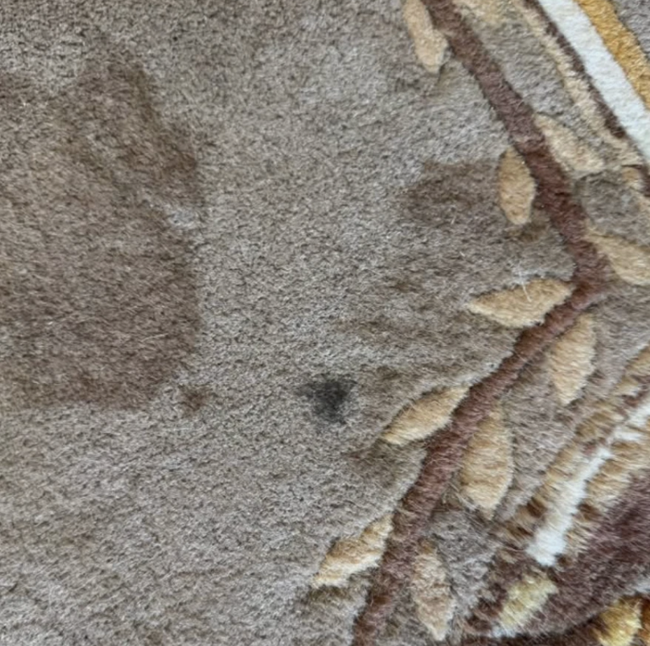 Screenshot 2026-02-15 at 12.46.36 PM.png