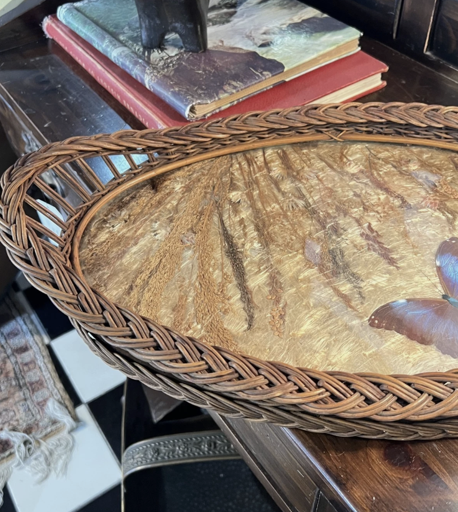 Screenshot 2026-03-13 at 4.00.21 PM.png