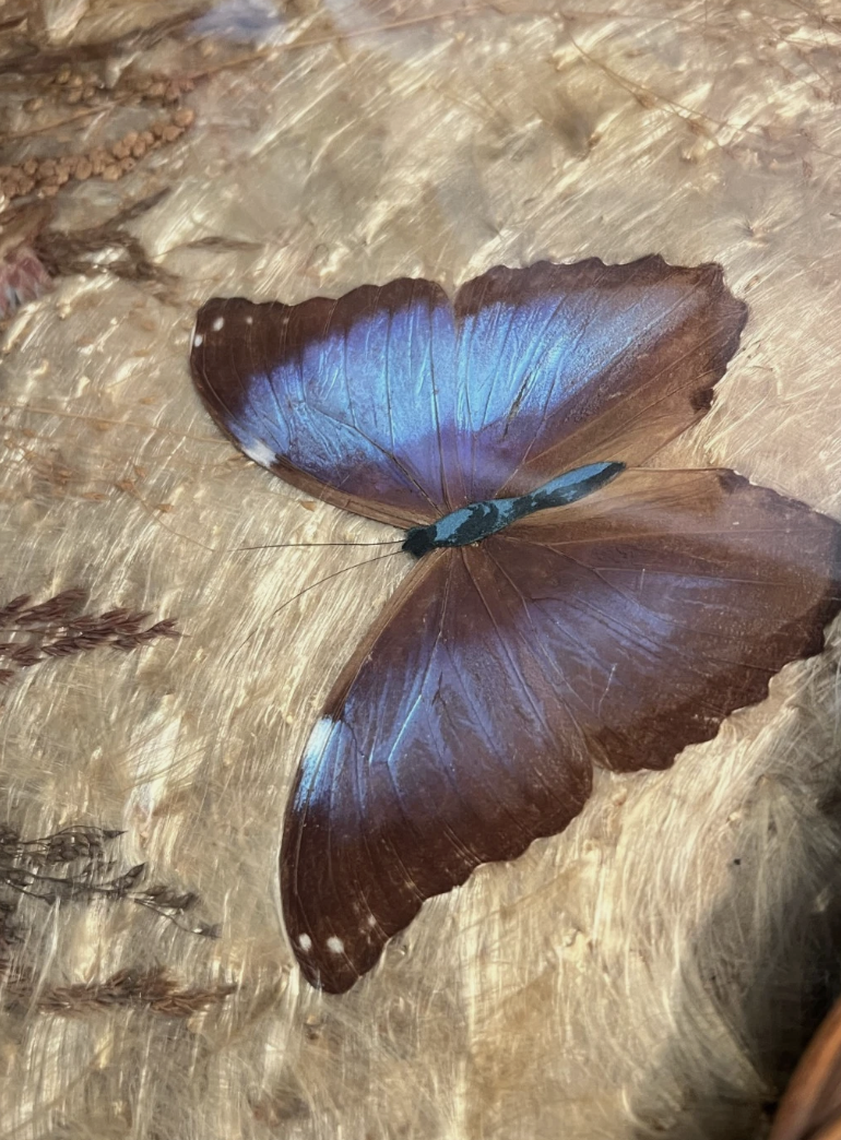 Screenshot 2026-03-13 at 4.00.57 PM.png