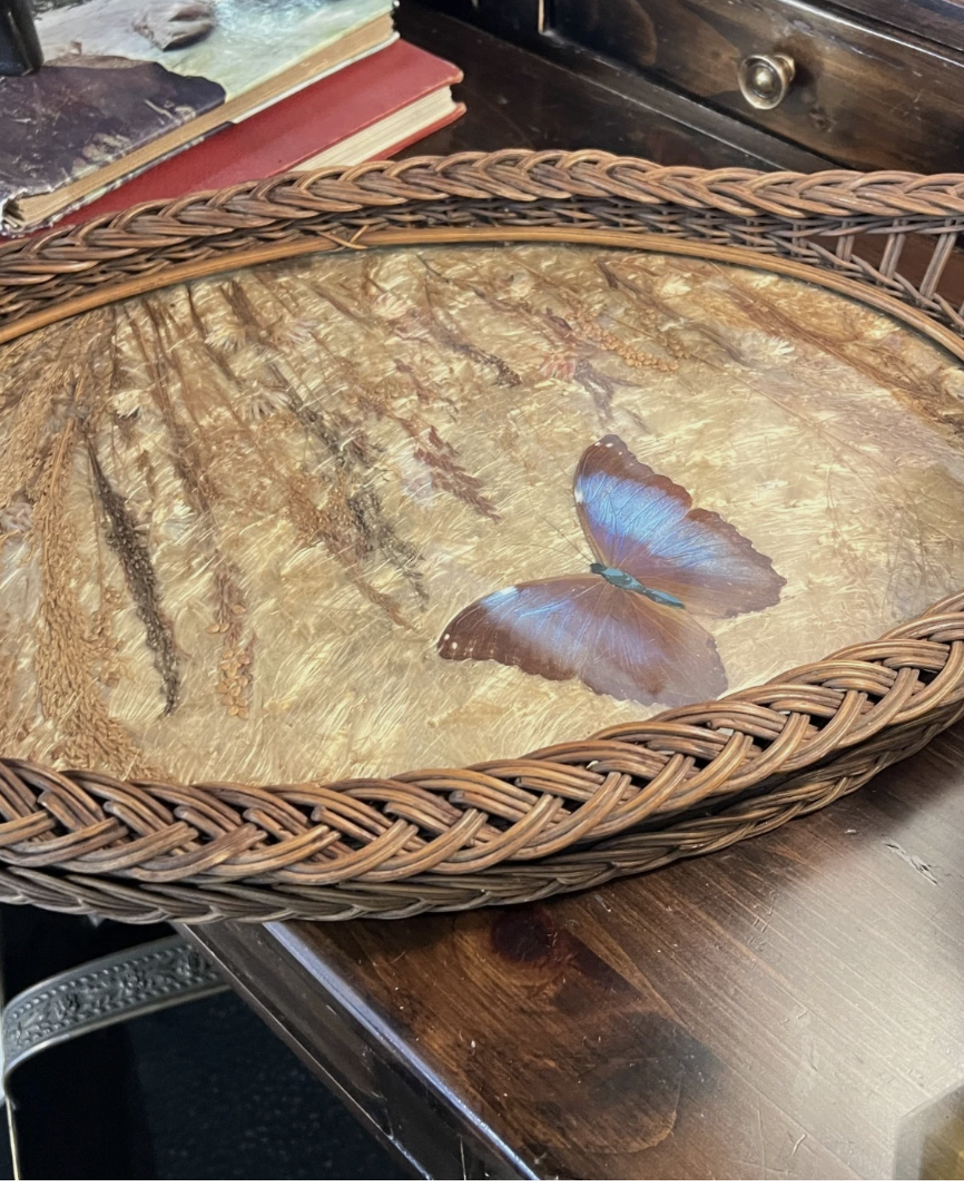 Screenshot 2026-03-13 at 4.00.25 PM.png