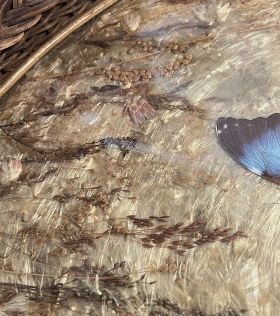 Screenshot 2026-03-13 at 4.01.06 PM.png