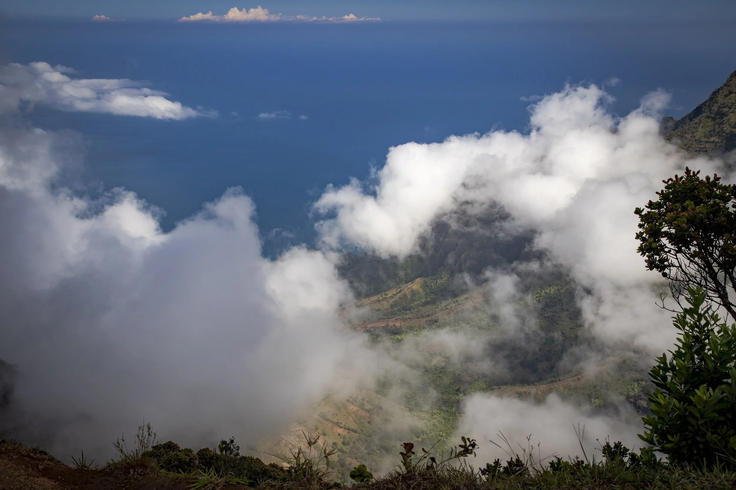 Waimea North-260416.jpg