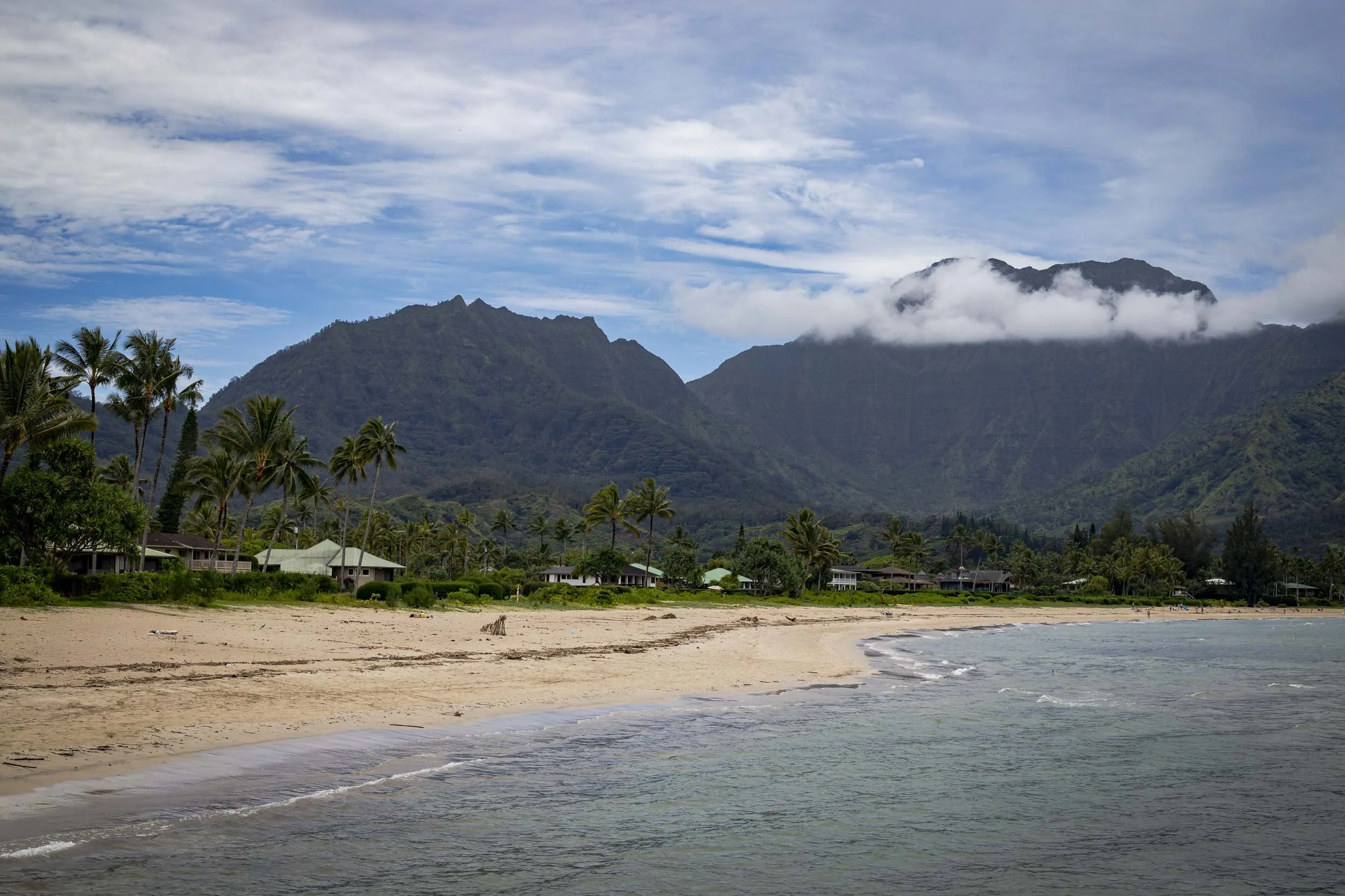 Sandy beach with palm trees, mountains, and cloudy skies along the coastline.