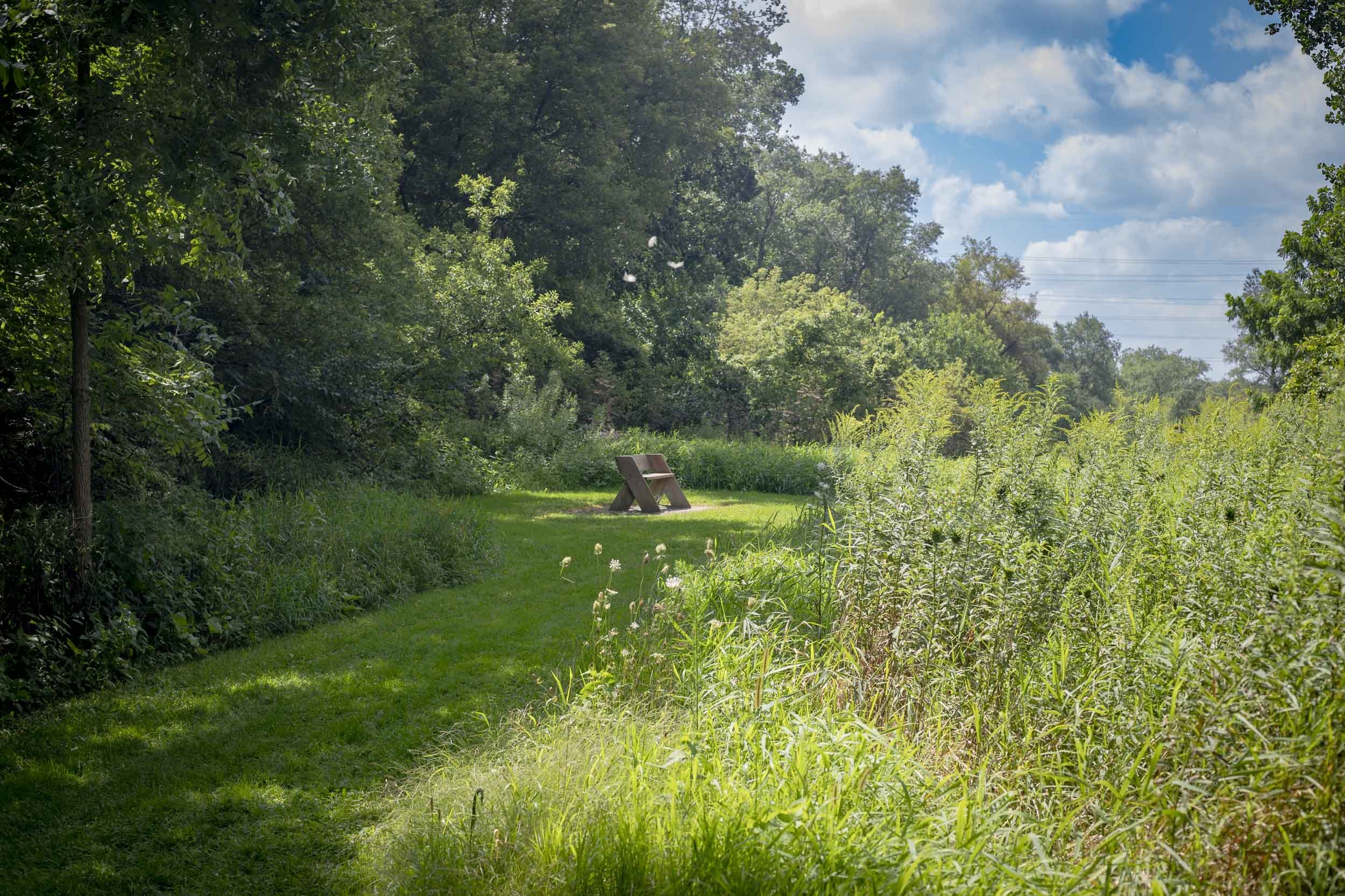 A mown grass path curves through taller meadow vegetation toward a simple wooden bench. Dense trees shade the left edge, while the open corridor offers a clear walking route and a quiet place to pause within the natural area.