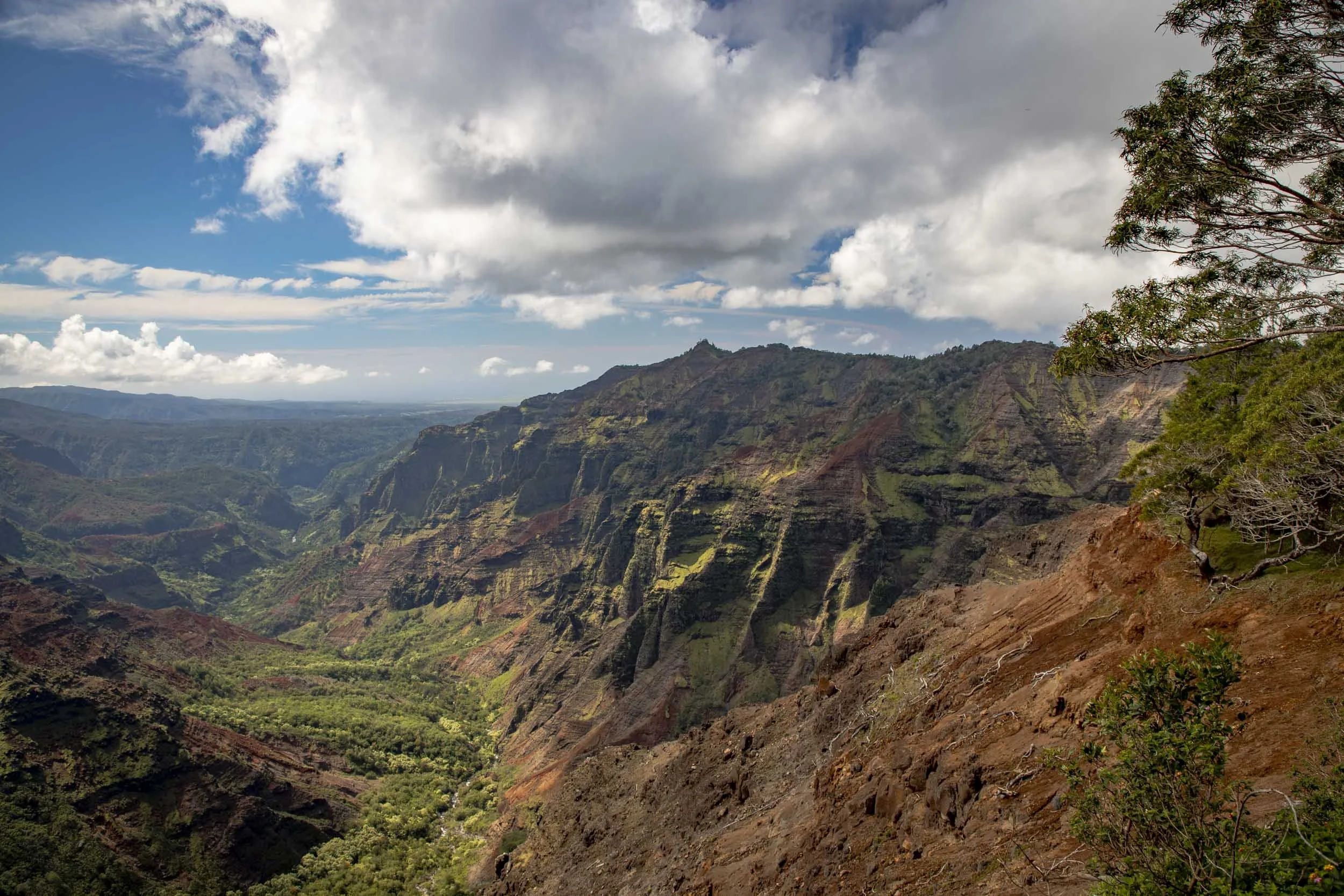 Dramatic canyon cliffs under cloudy skies with lush green valleys below. Location: Waimea Canyon, Kauai, Hawaii.