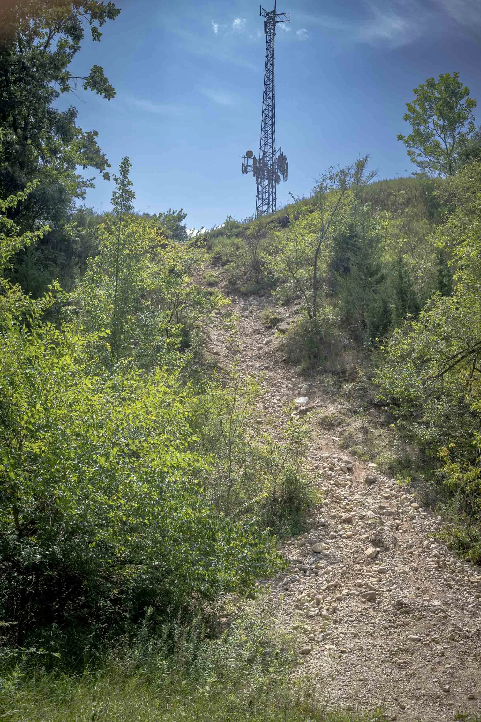 A narrow, exposed slope rises through dense vegetation toward a communications structure at the crest. Loose rock and bare soil form a visible drainage or access corridor, while shrubs and young trees are re-establishing along both sides.