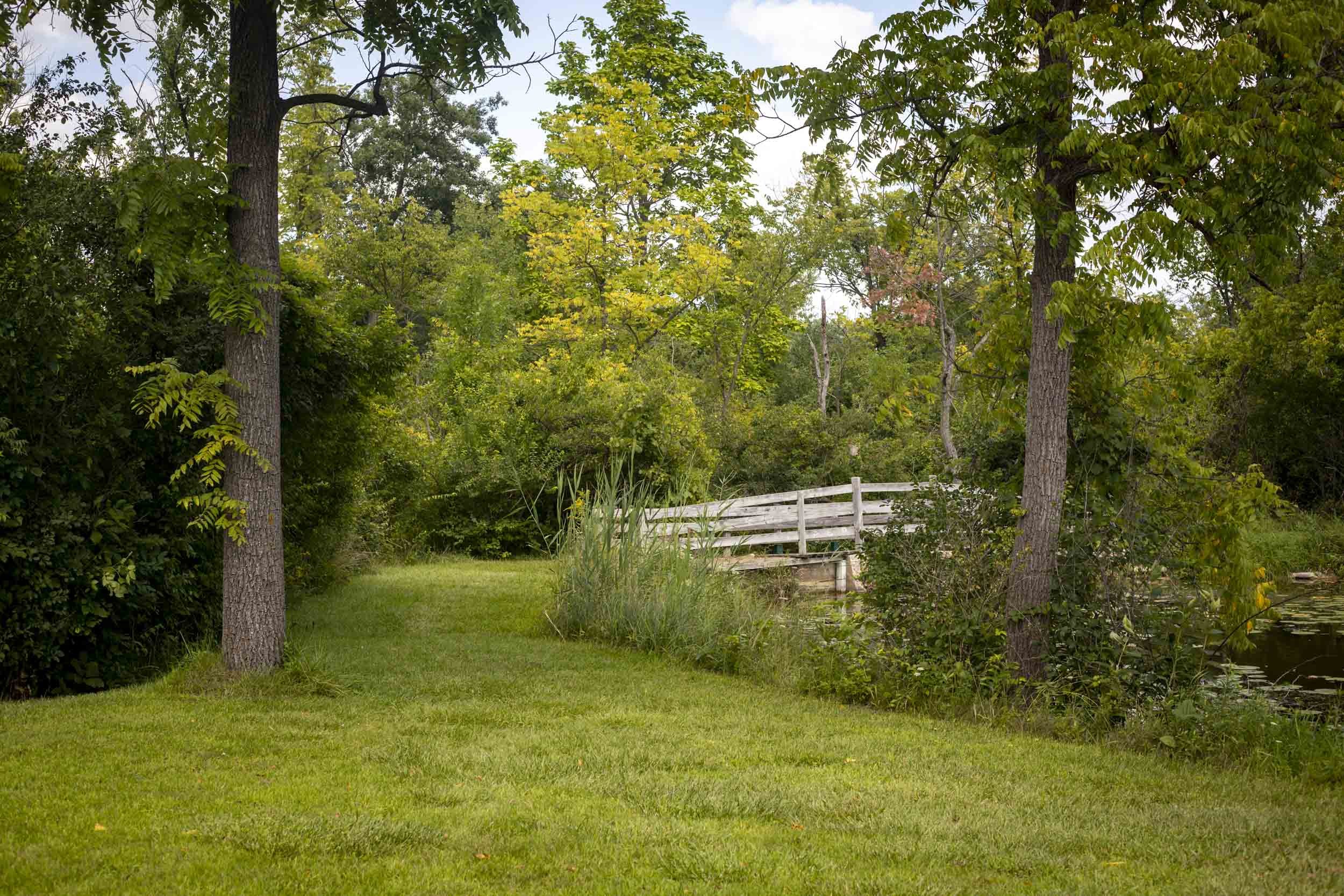 A small wooden bridge appears between mature trees and dense vegetation at the edge of the water. The open lawn in the foreground and layered foliage create a quiet transition from maintained ground to the natural shoreline.