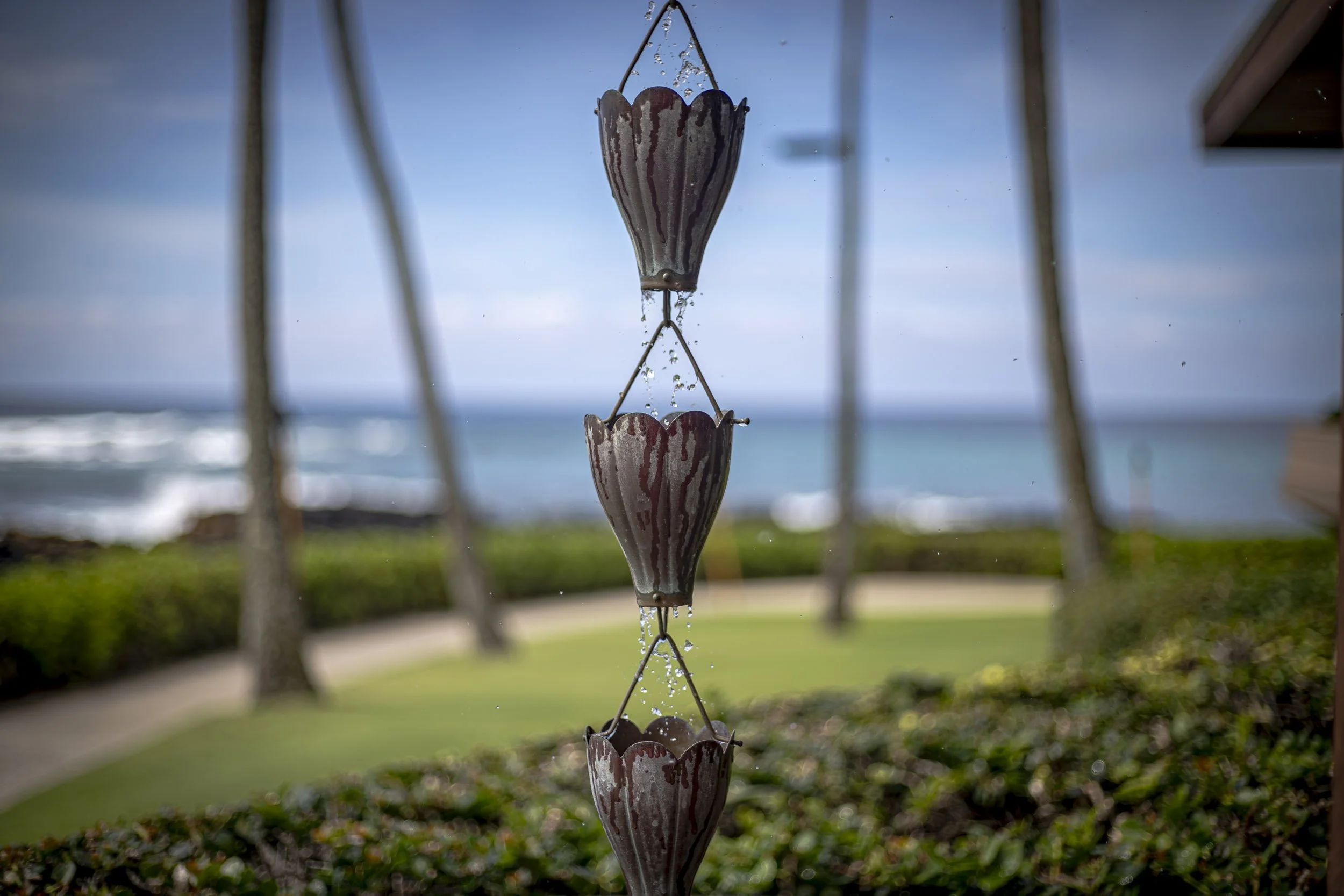 Metal rain chain cups drip water with the ocean and palm trees blurred in the background. Location: Kauai, Hawaii.