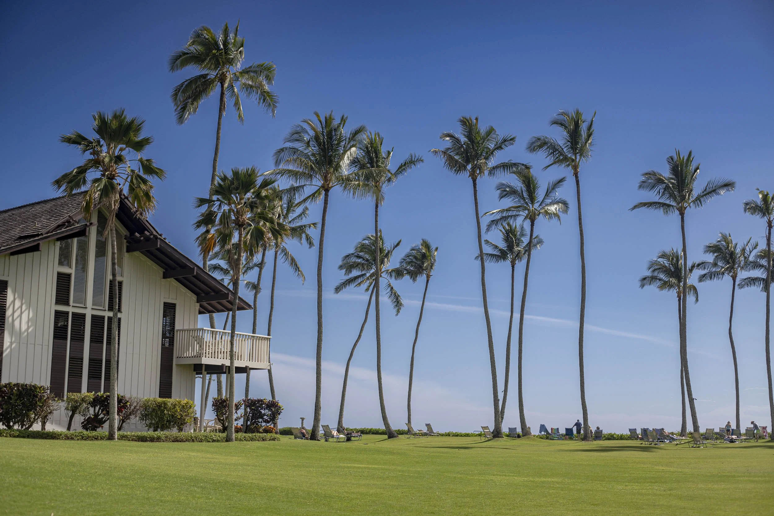 Palm trees sway over a sunny lawn beside a coastal resort building, with lounge chairs facing the ocean. Location: Kiahuna Plantation, Kauai