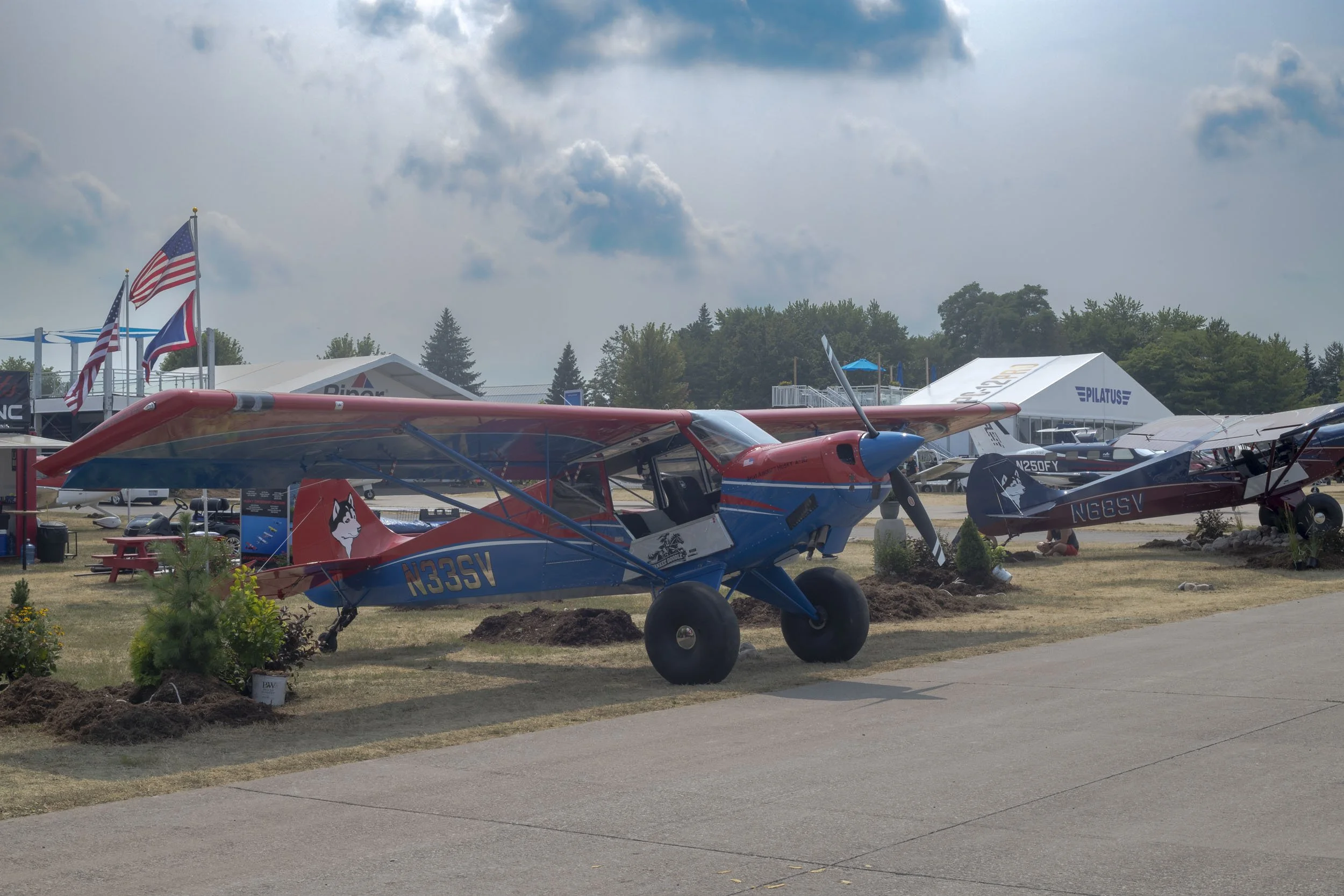 Huskie-260726.jpg