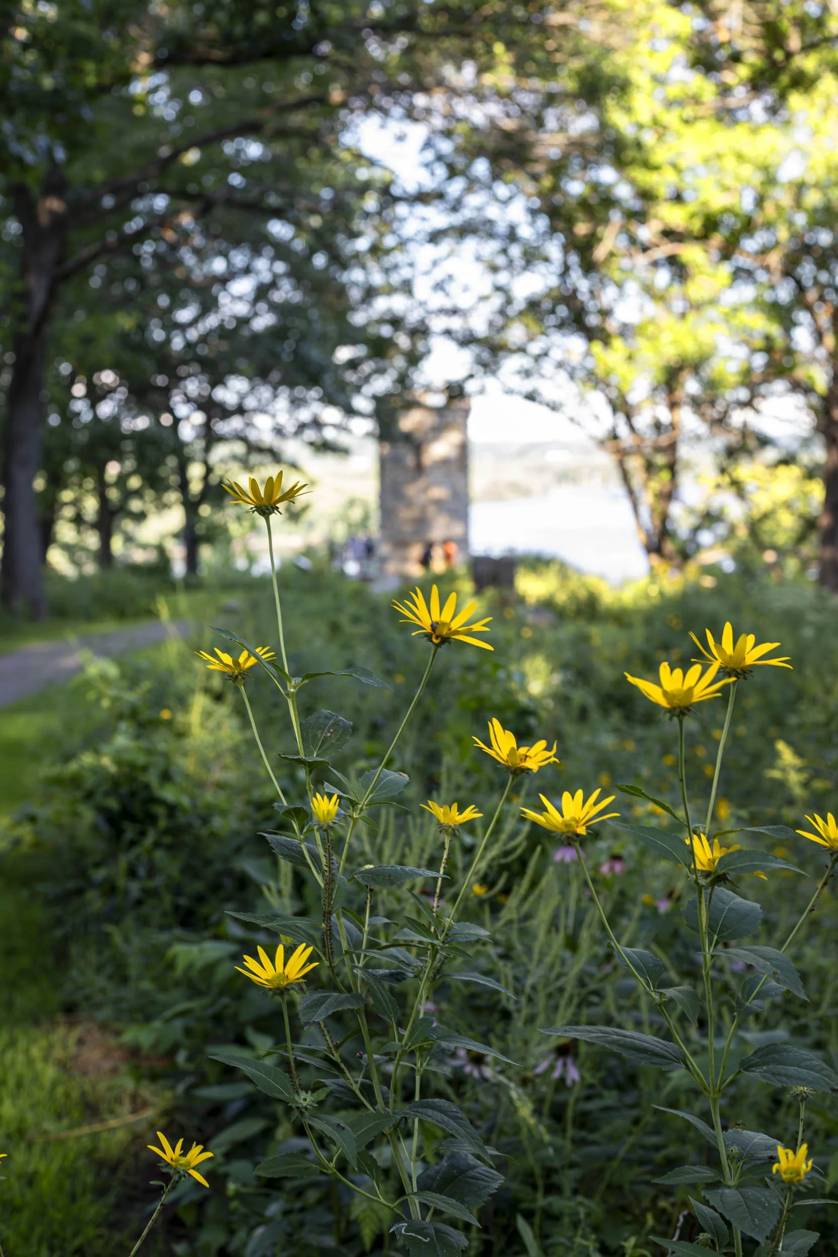 Dubuque Monument path with flowers