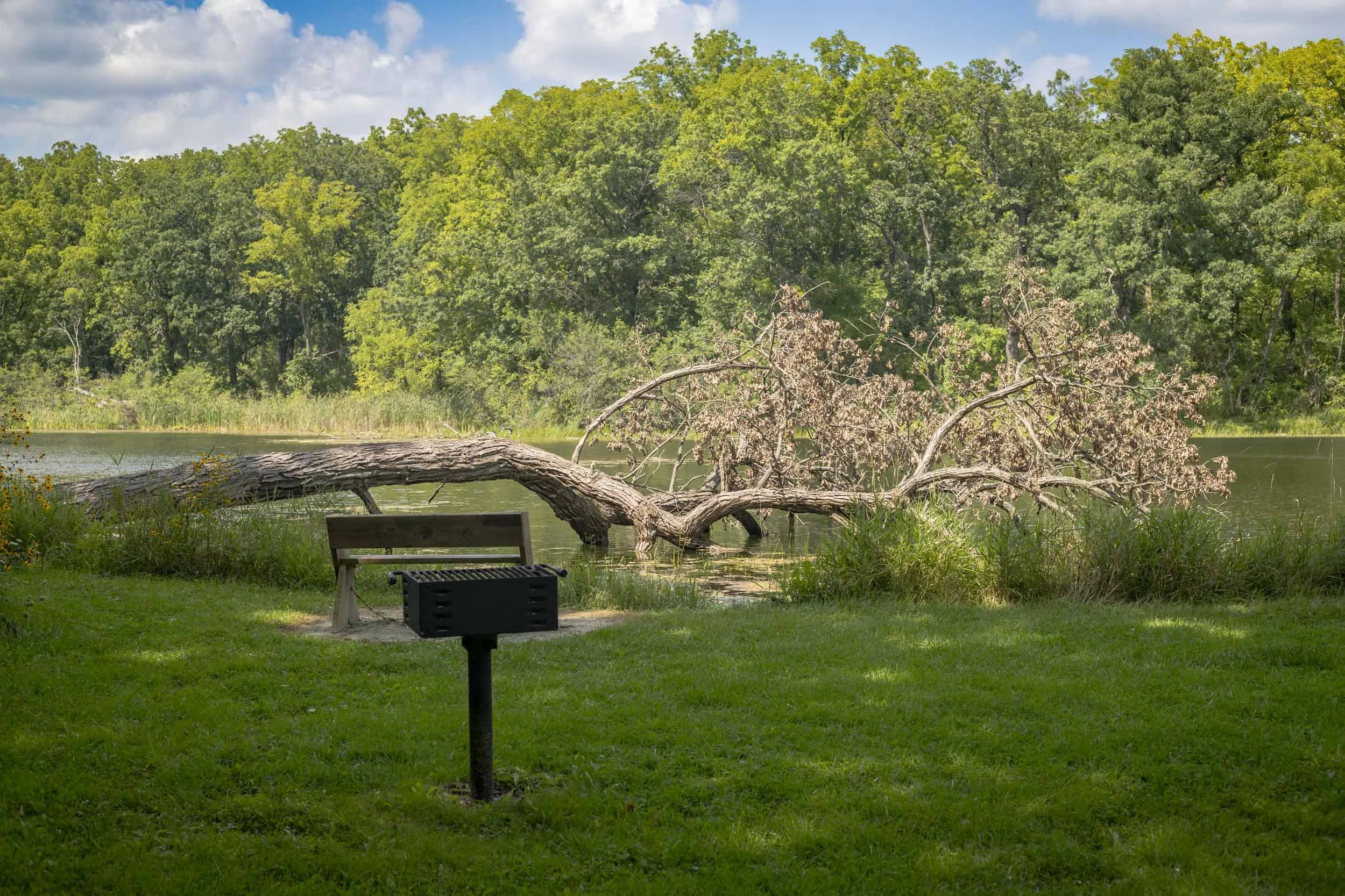 Quiet Lakeside Rest Area-260823.jpg