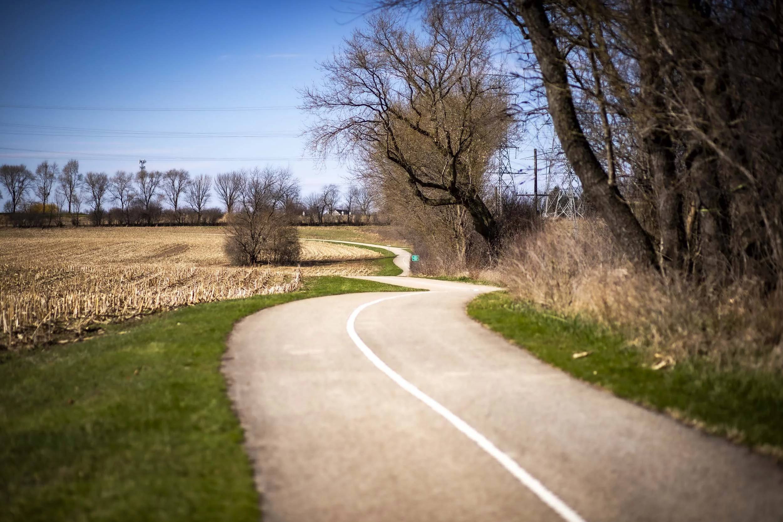 Bicycle Trail in Cary