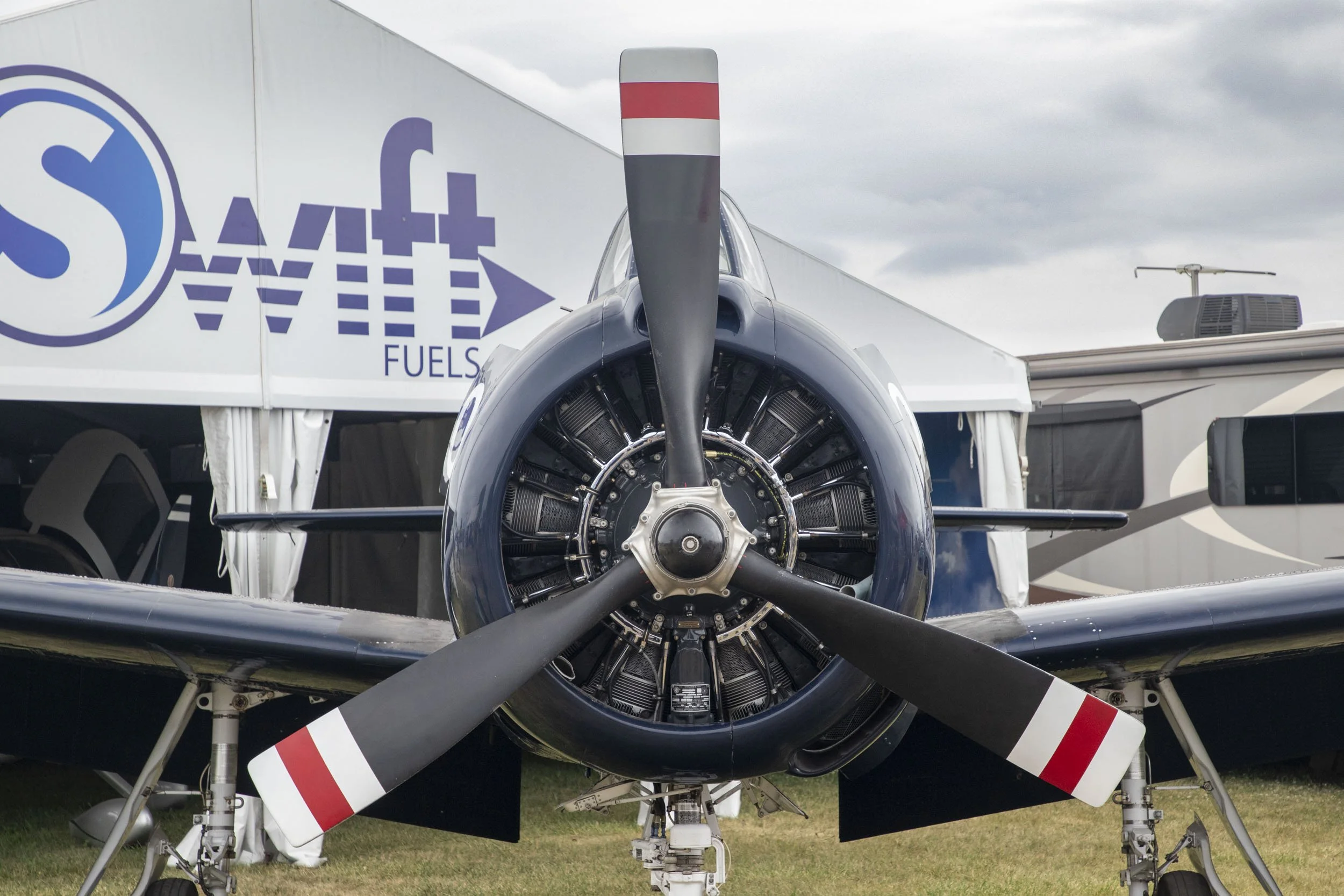 Swift-260725.jpg