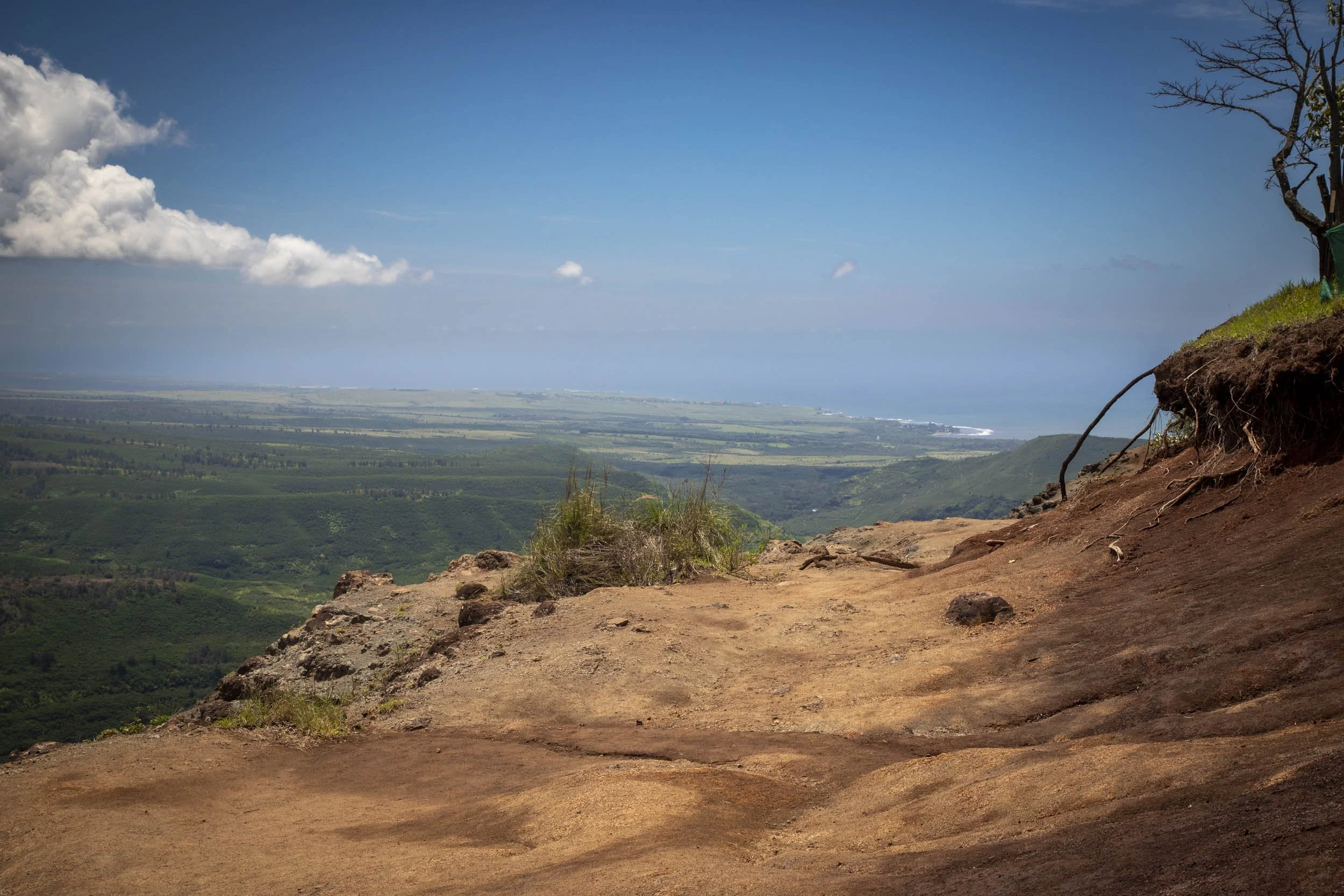 Cliffside view of lush green valleys meeting the distant ocean under a clear blue sky. Waimea, Hawaii