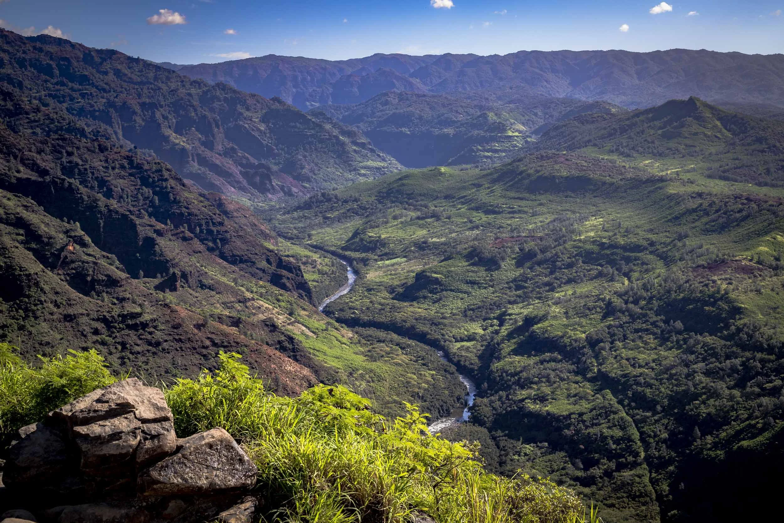 Lush green canyon with winding river under clear blue skies. Location: Waimea Canyon, Kauai, Hawaii.