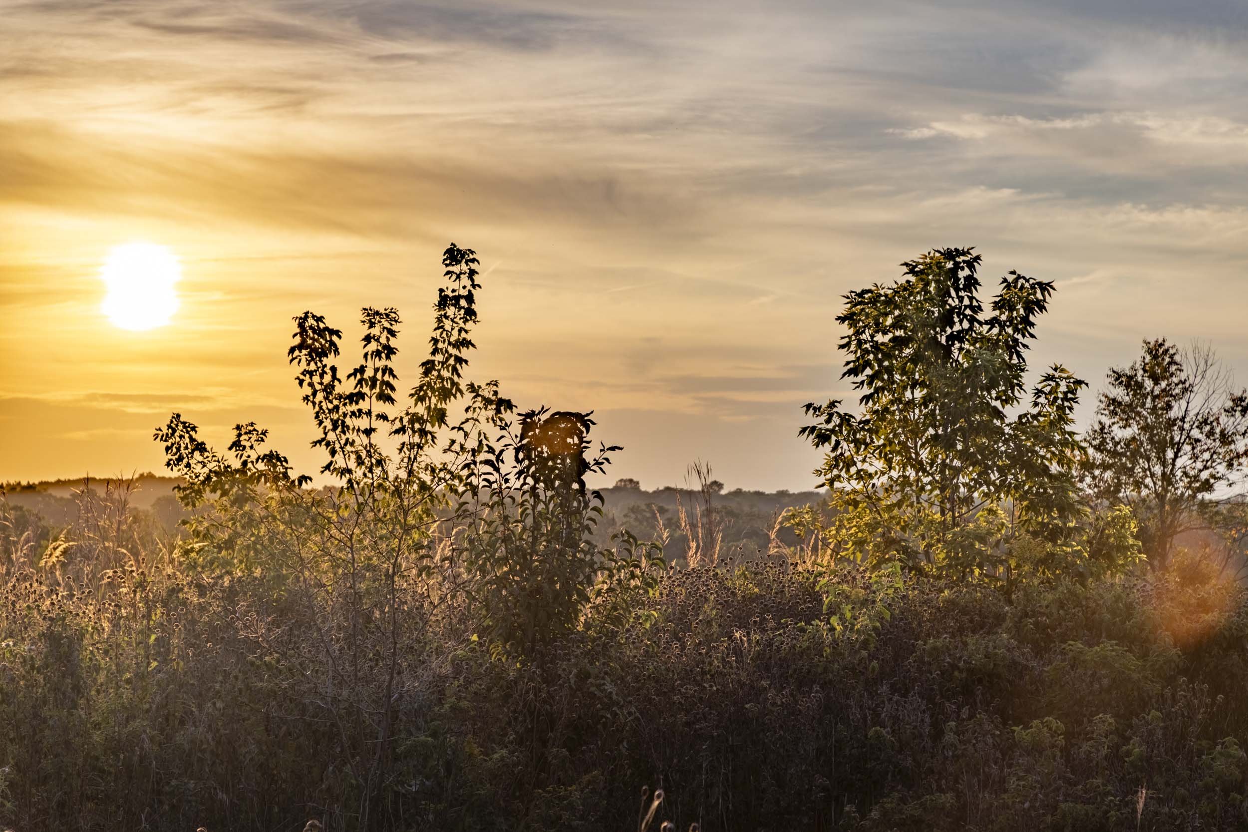 Sunset at Fox River near by Barrington, IL