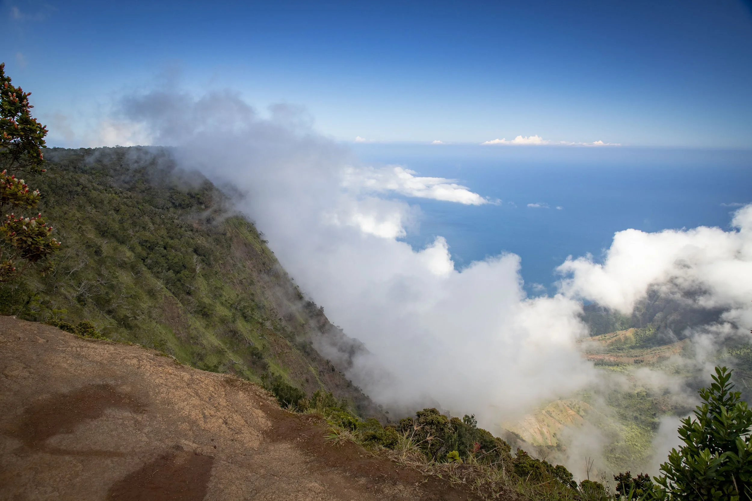 Waimea North Fog-260416.jpg