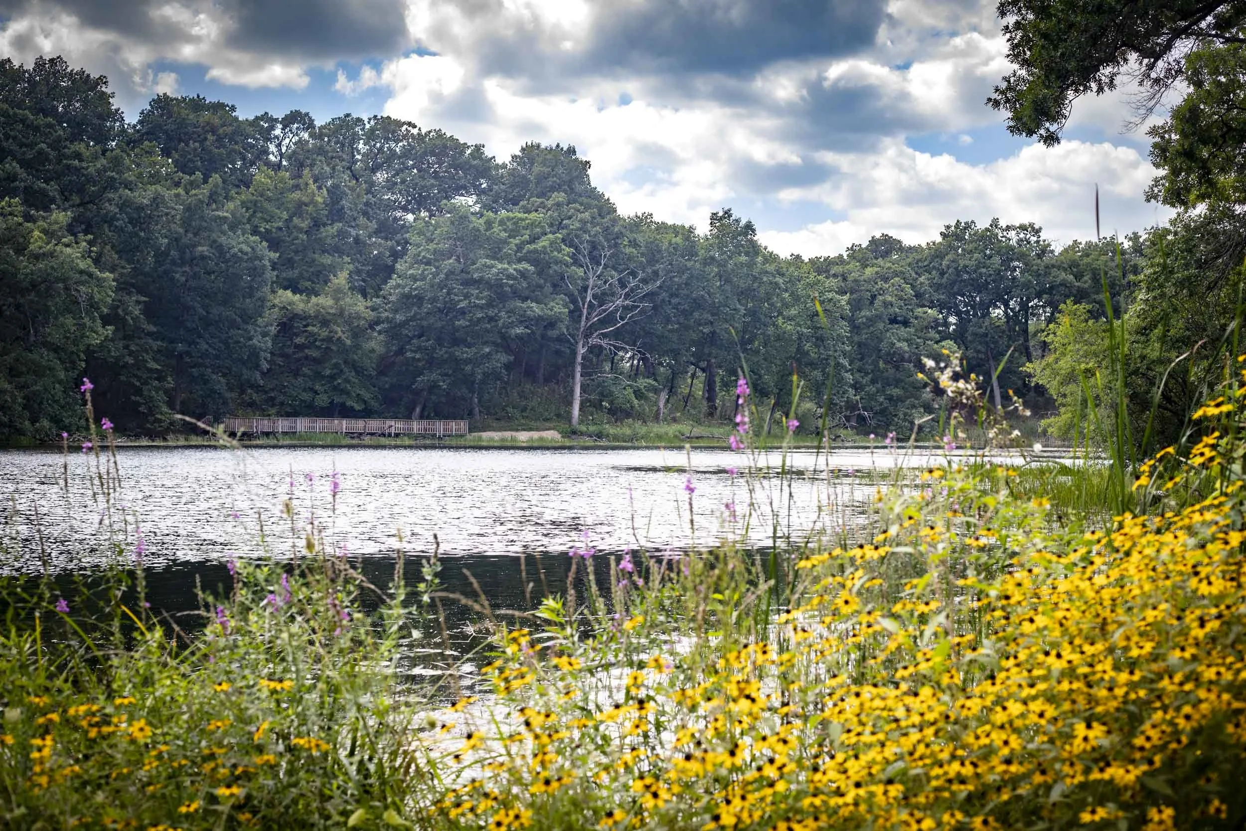 Yellow and purple wildflowers fill the foreground beside a broad pond. Across the water, a low wooden walkway runs along a wooded shoreline, adding a subtle human element to the expansive natural view.