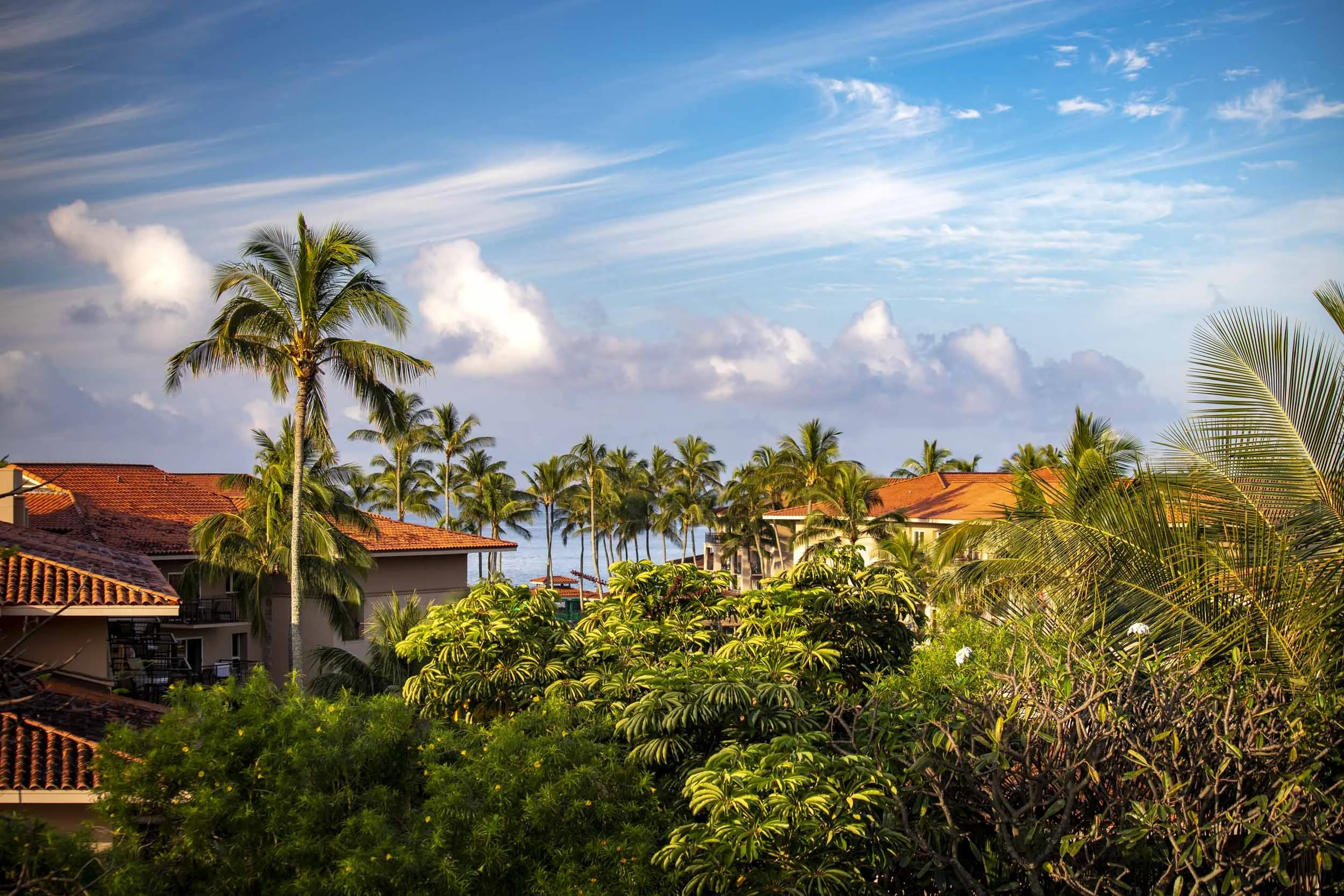 Morning Resort-260416.jpg