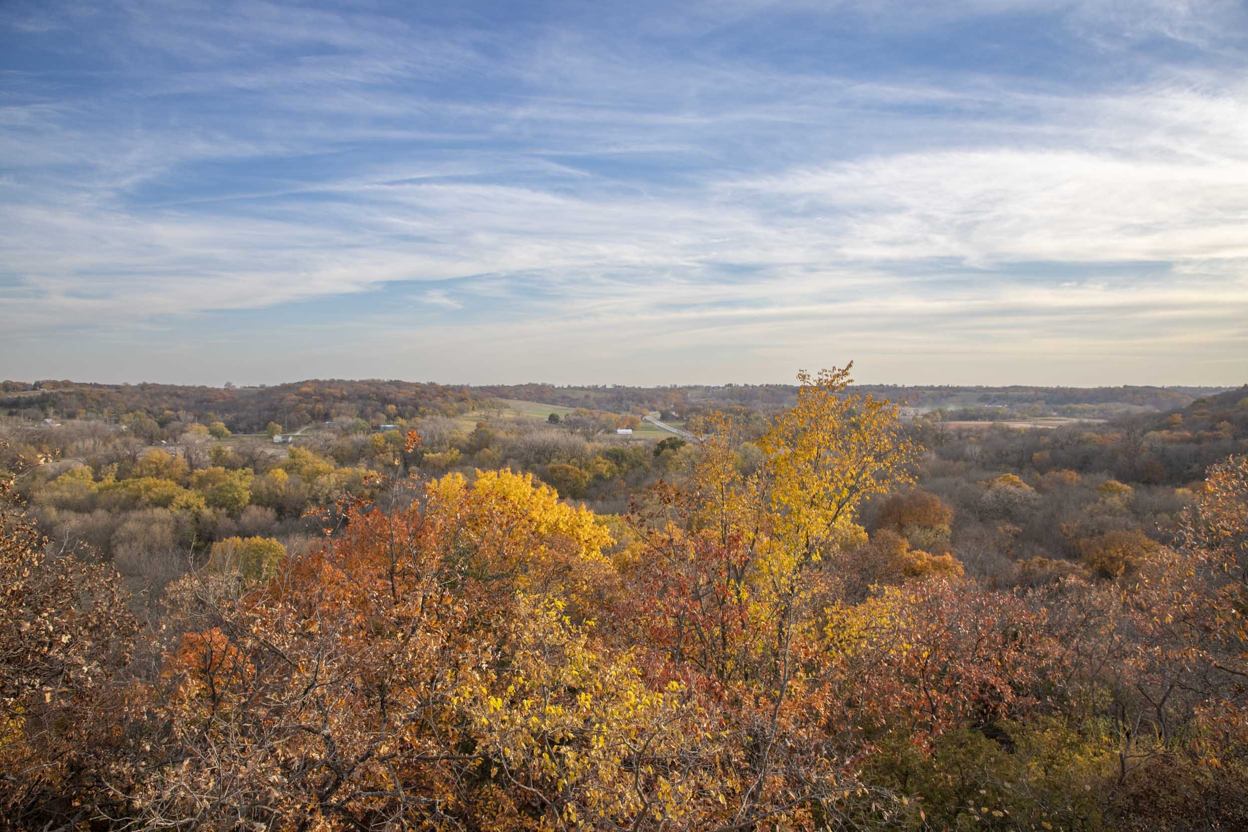 Land view from Clarks Tower