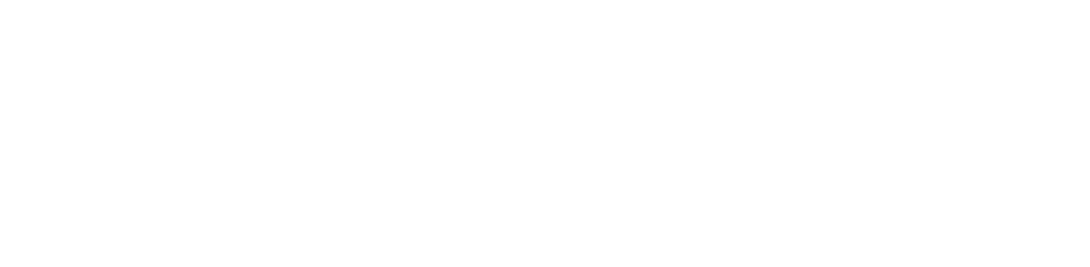 Asset 2faast_logo_white.png