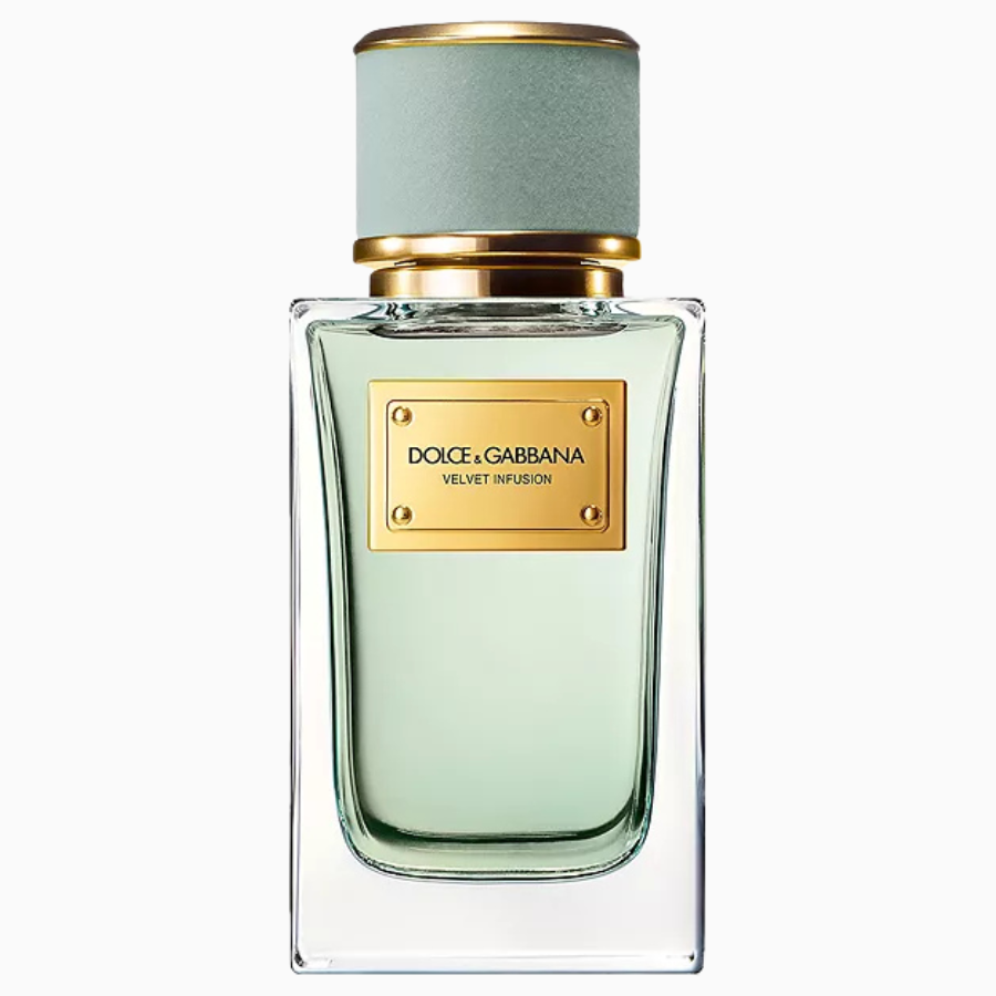 Velvet Infusion EDP Dolce & Gabbana