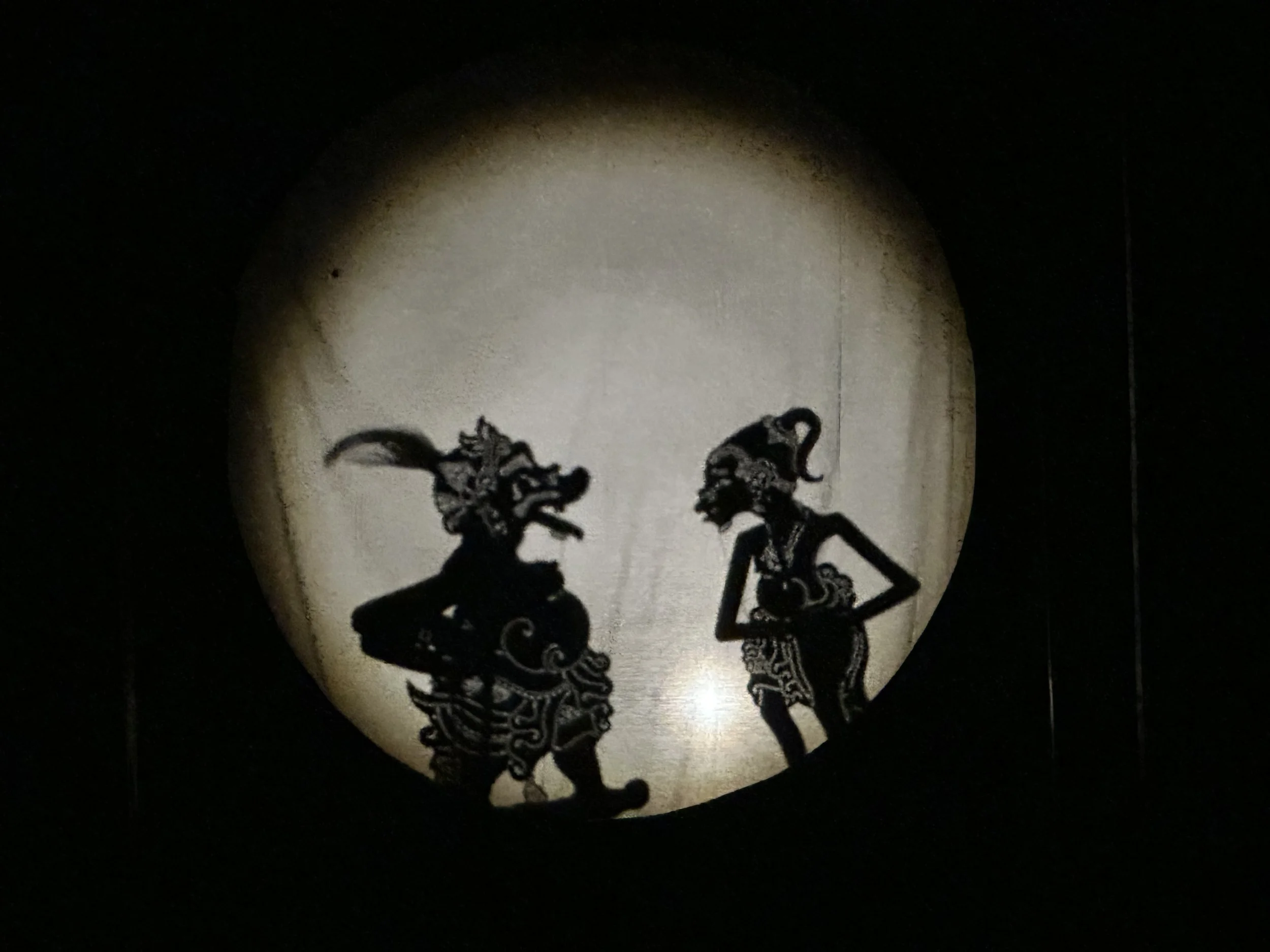 ShadowPuppetPerformance.jpeg