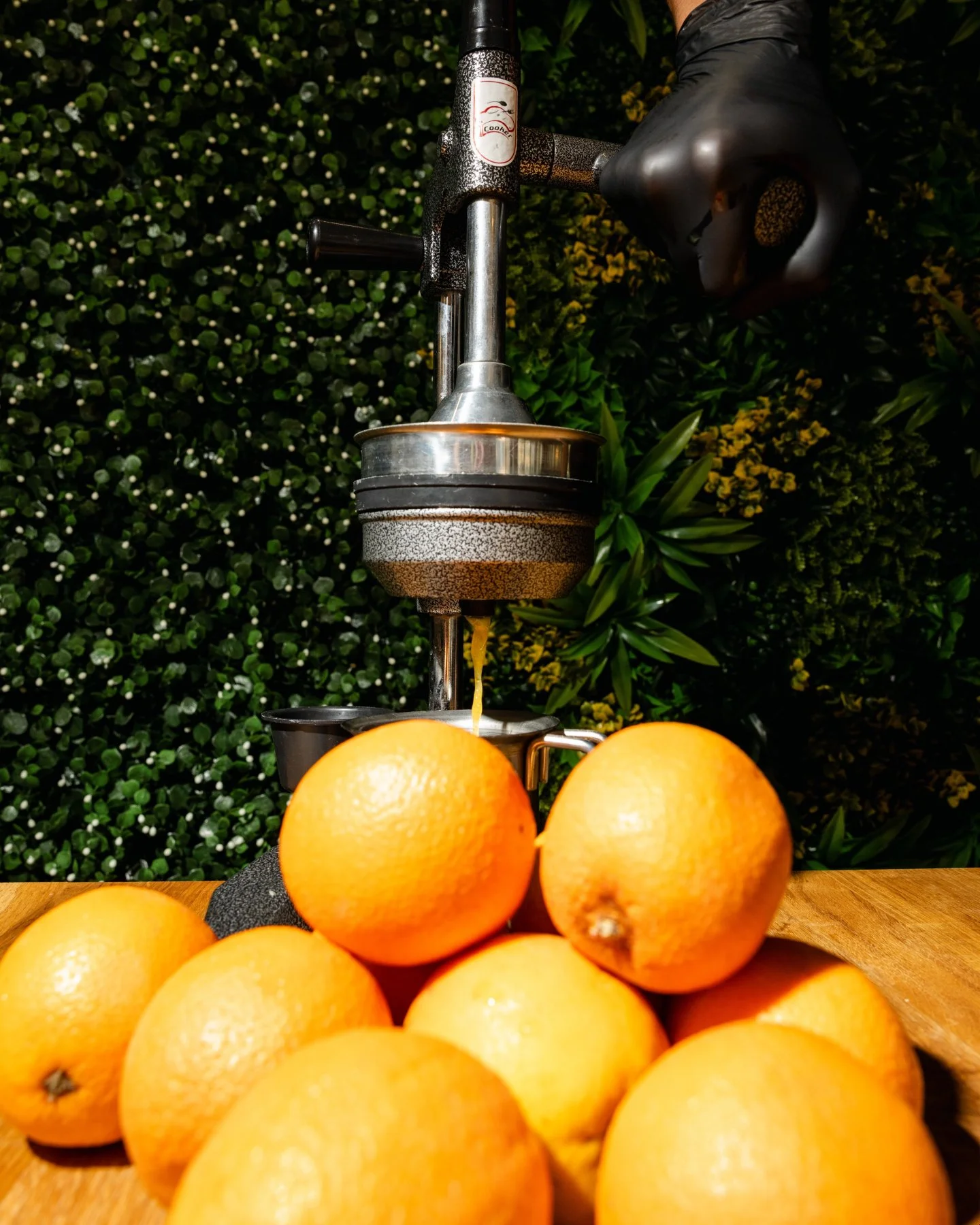 🍊 Frisch. Fruchtig. Renaissance. ✨
Bei uns kommt der Orangensaft direkt aus der Presse ins Glas &ndash; 100 % nat&uuml;rlich, 0 % Kompromisse.
Der perfekte Start in deinen Tag! 🌞🥤

#Caf&eacute;Renaissance #FreshJuice #OrangensaftLiebe #HamburgFood