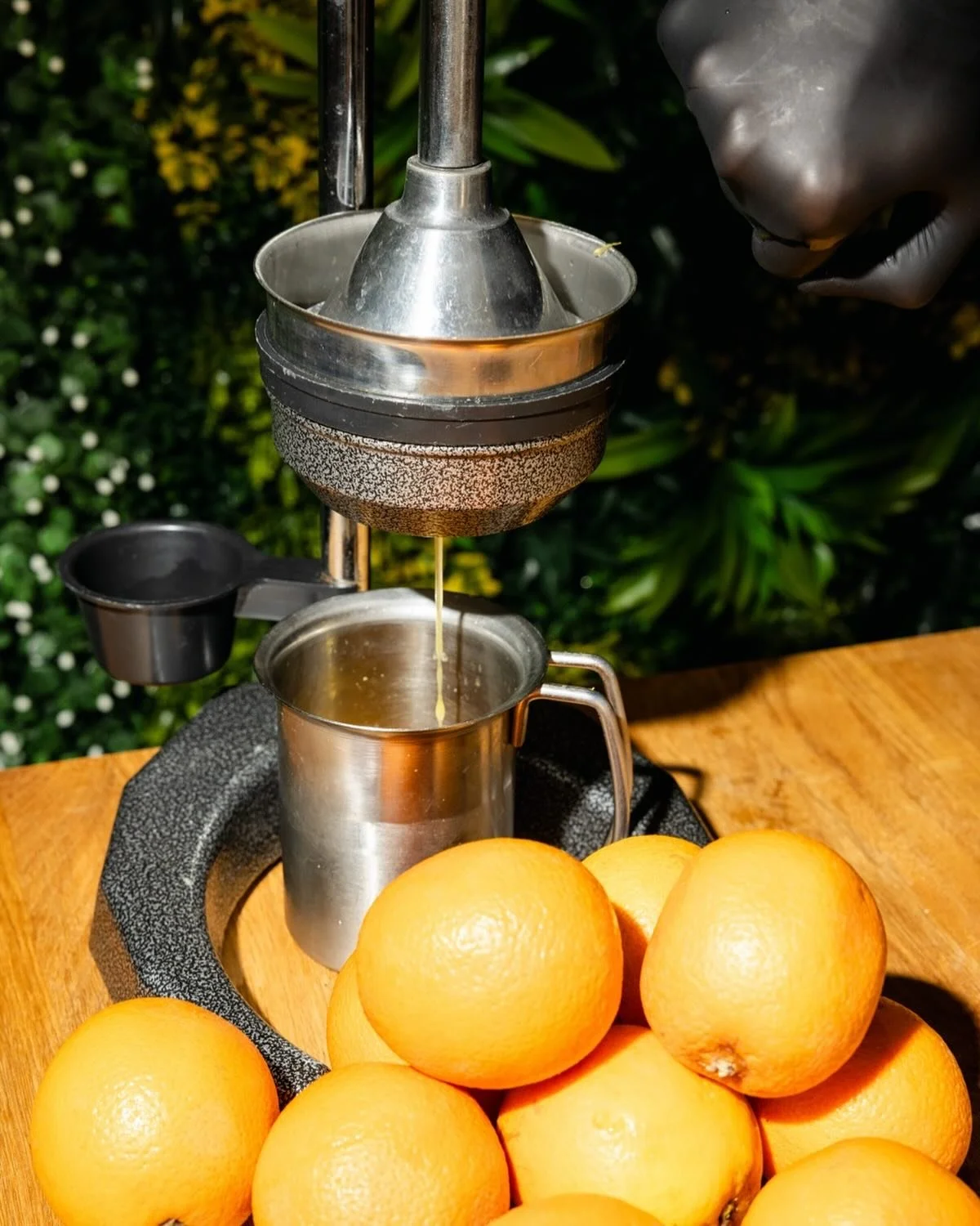 🍊 Frisch gepresst, direkt aus der Orange ins Glas &ndash; pure Vitamine, pure Energie! ✨
Wer liebt auch den Duft und Geschmack von frisch gepresstem Orangensaft am Morgen? 🥰☀️
#freshjuice #oranges #vitaminC #healthychoices #juicevibes