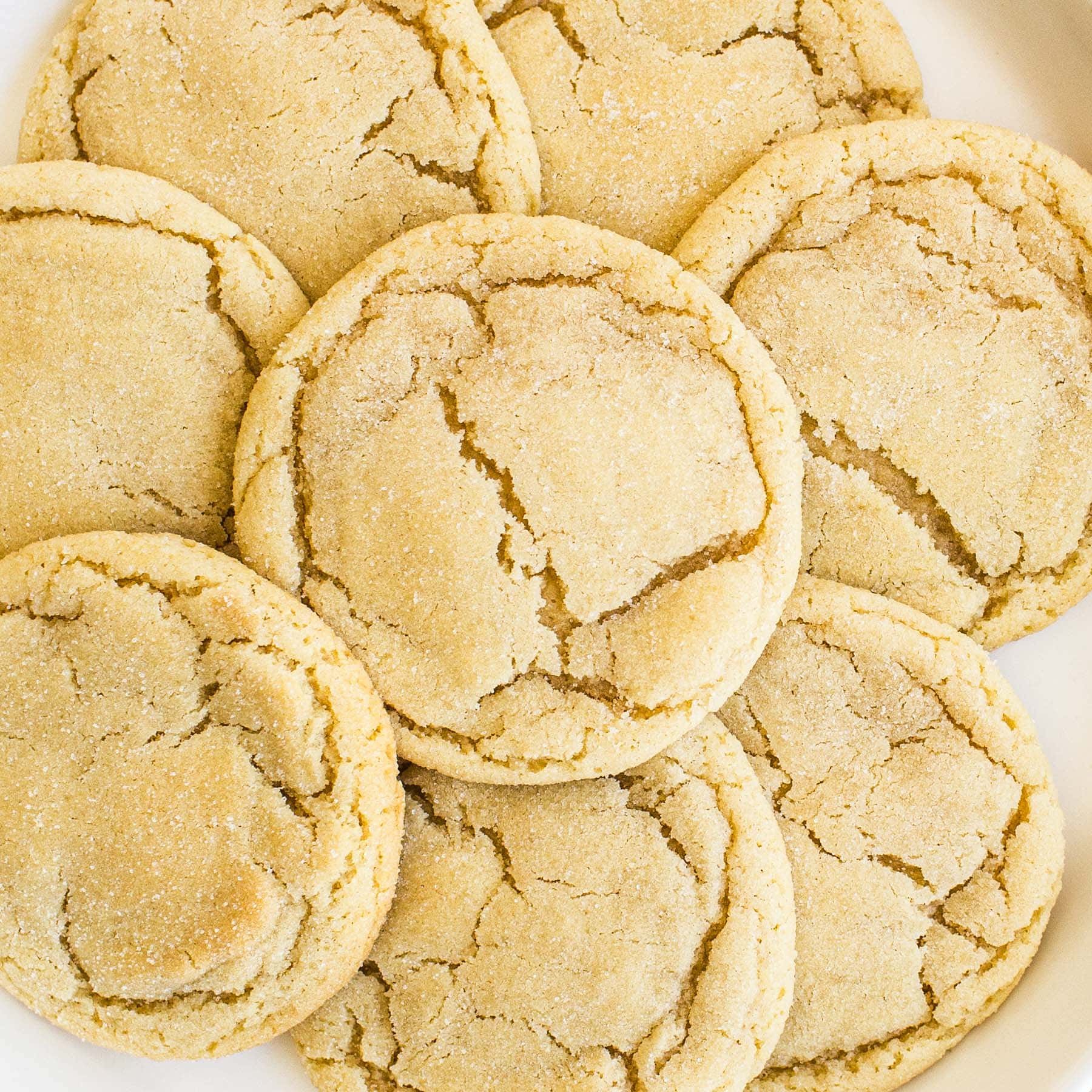 Sugar Cookie