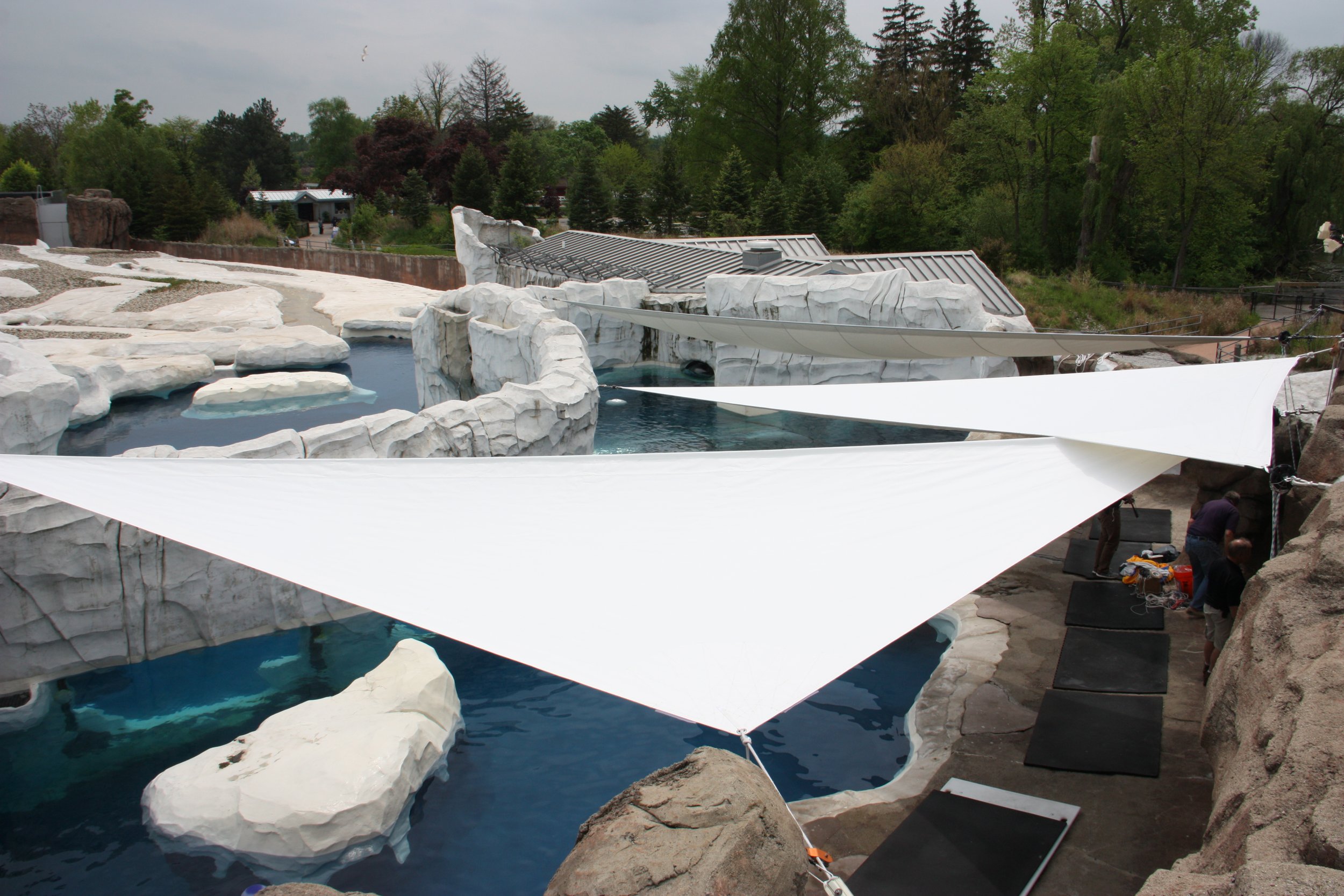 Outdoor zoo exhibit with white rocks and water pools, partially covered by triangular shade sails, surrounded by trees.