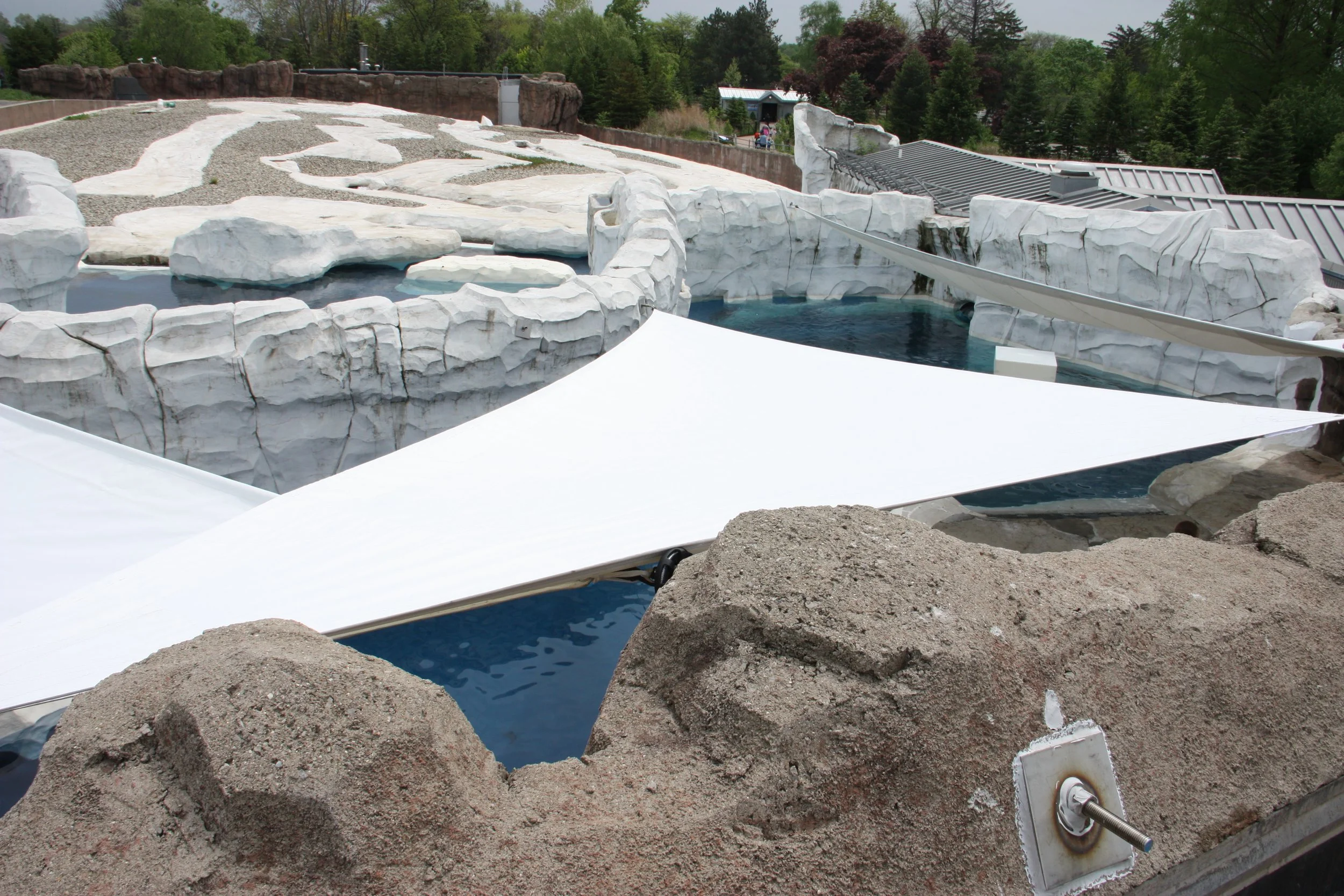 Outdoor zoo exhibit with artificial rocky terrain and pool.