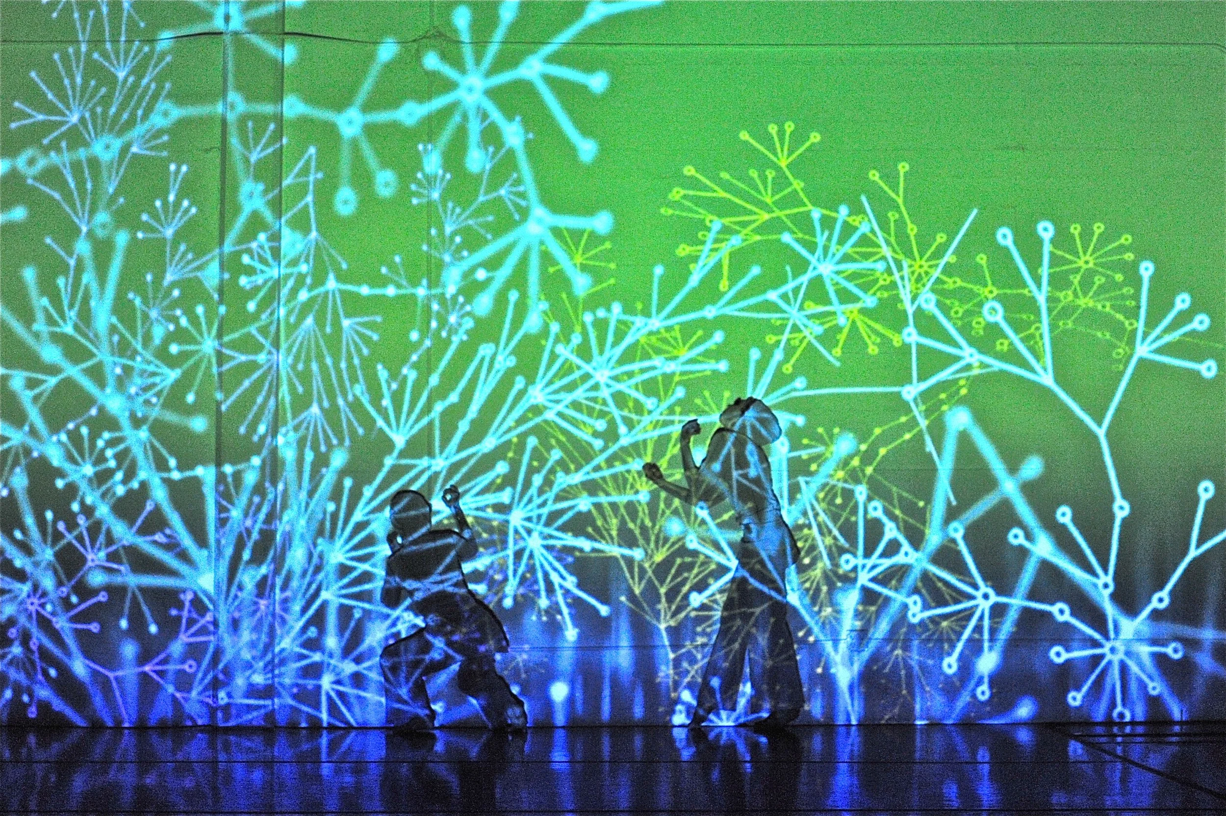 ANIMoid at CounterPULSE, duet with Katarina Eriksson, video installation by Jerry Smith, photo by Frank Revi