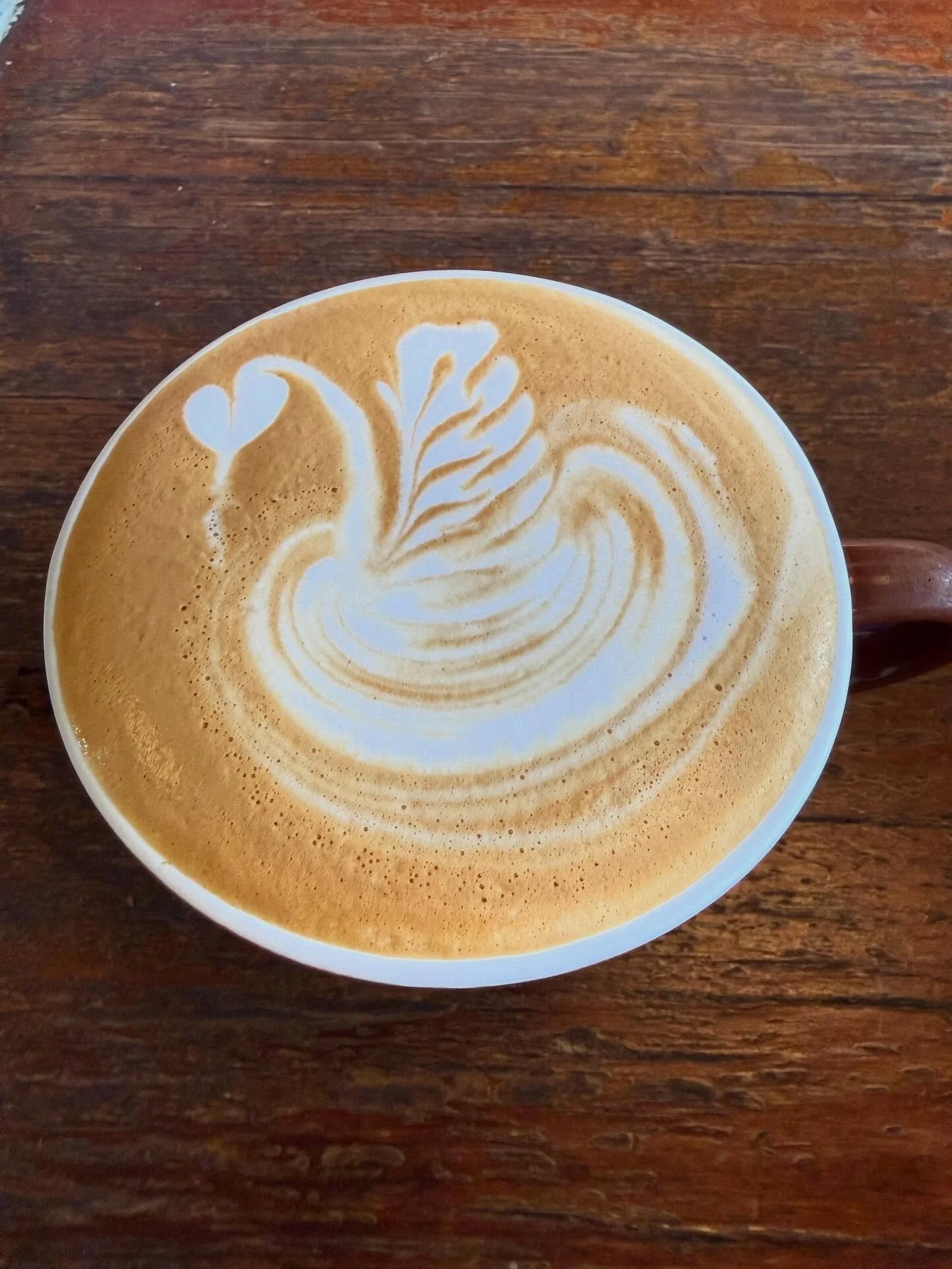 Shy, talented barista Yuka behind the coffee machine this morning at #westenecoffeehouse 

#camposcoffee #westend4101 #wech #barista #latteart