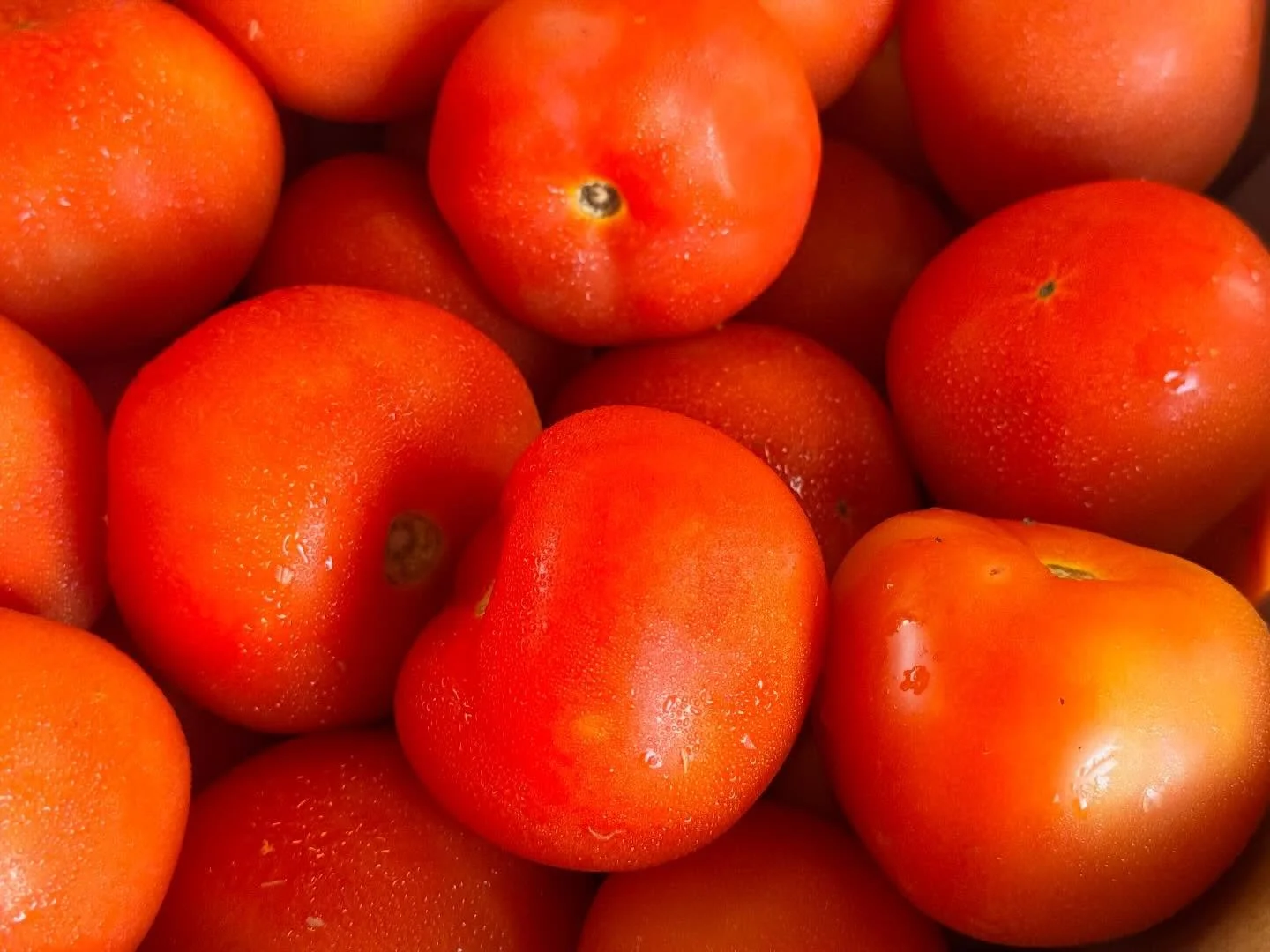 Every morning in our kitchen begins with colours like these 🌿❤️

Fresh chillies. Juicy tomatoes.
Hand-selected. Carefully prepared.

Because great Thai food isn&rsquo;t just about flavour &mdash; it&rsquo;s about intention in every step.

See you at