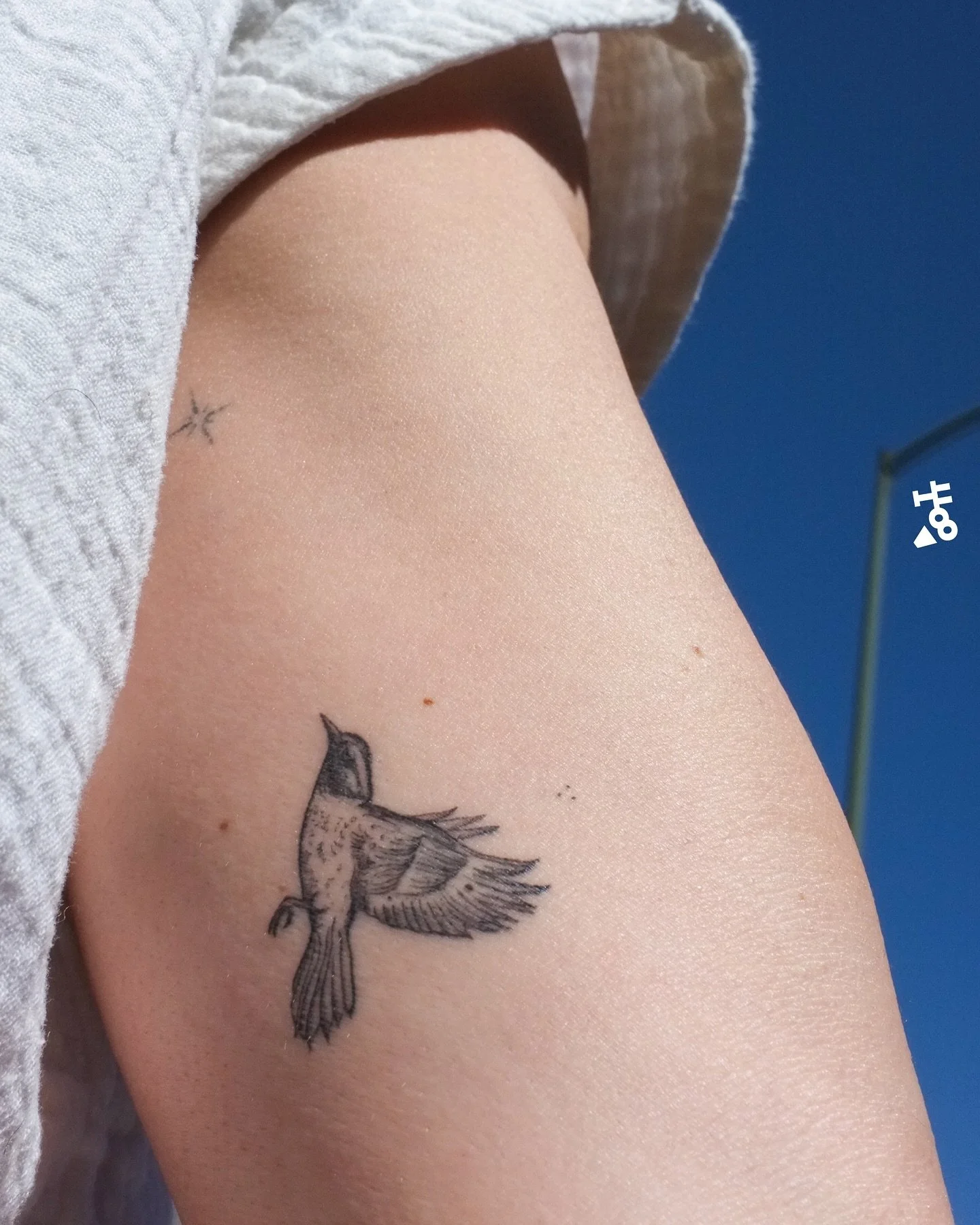 Vol&oacute; un rato antes de aterrizar