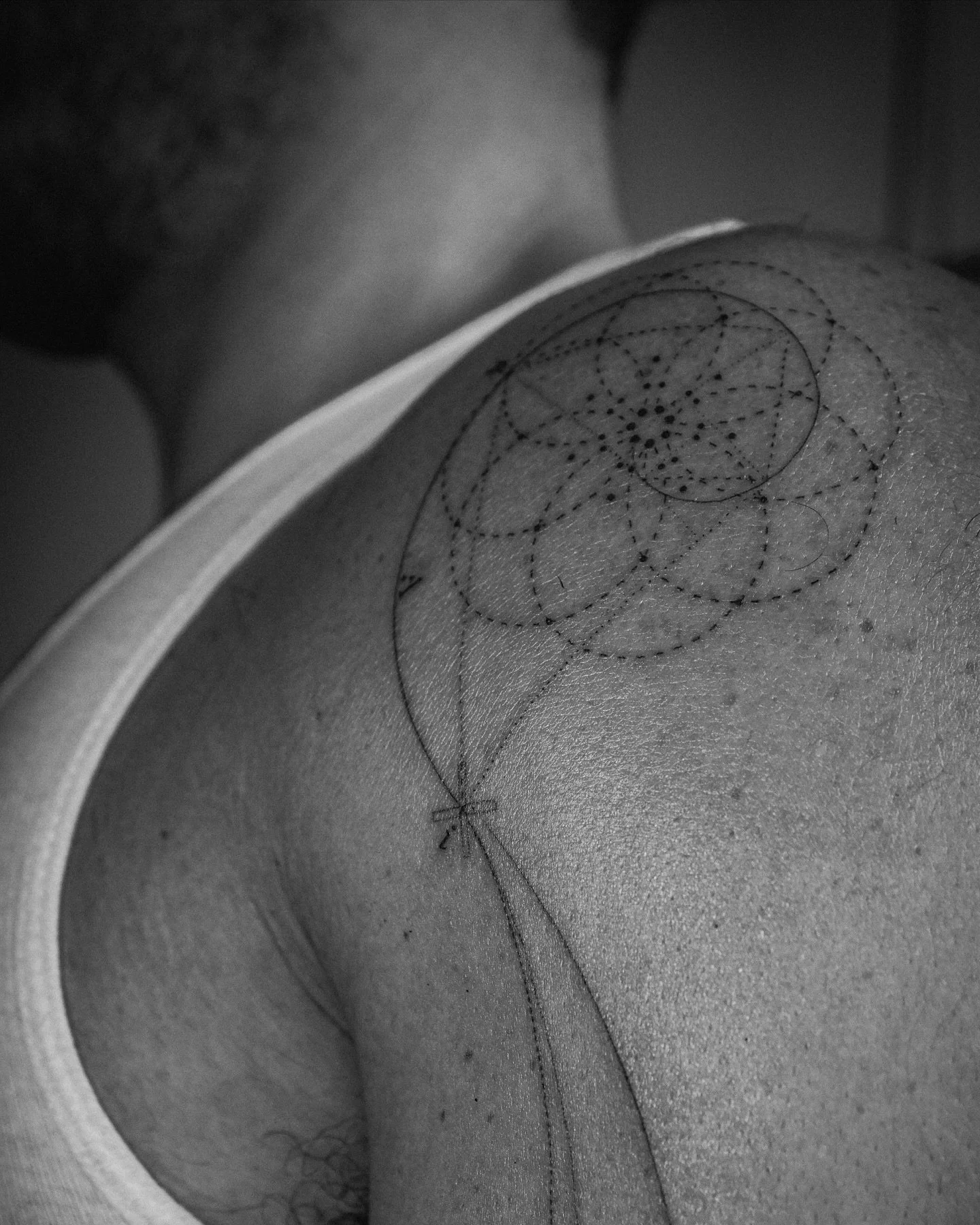 Recordatorio: paciencia es un camino hacia dicha