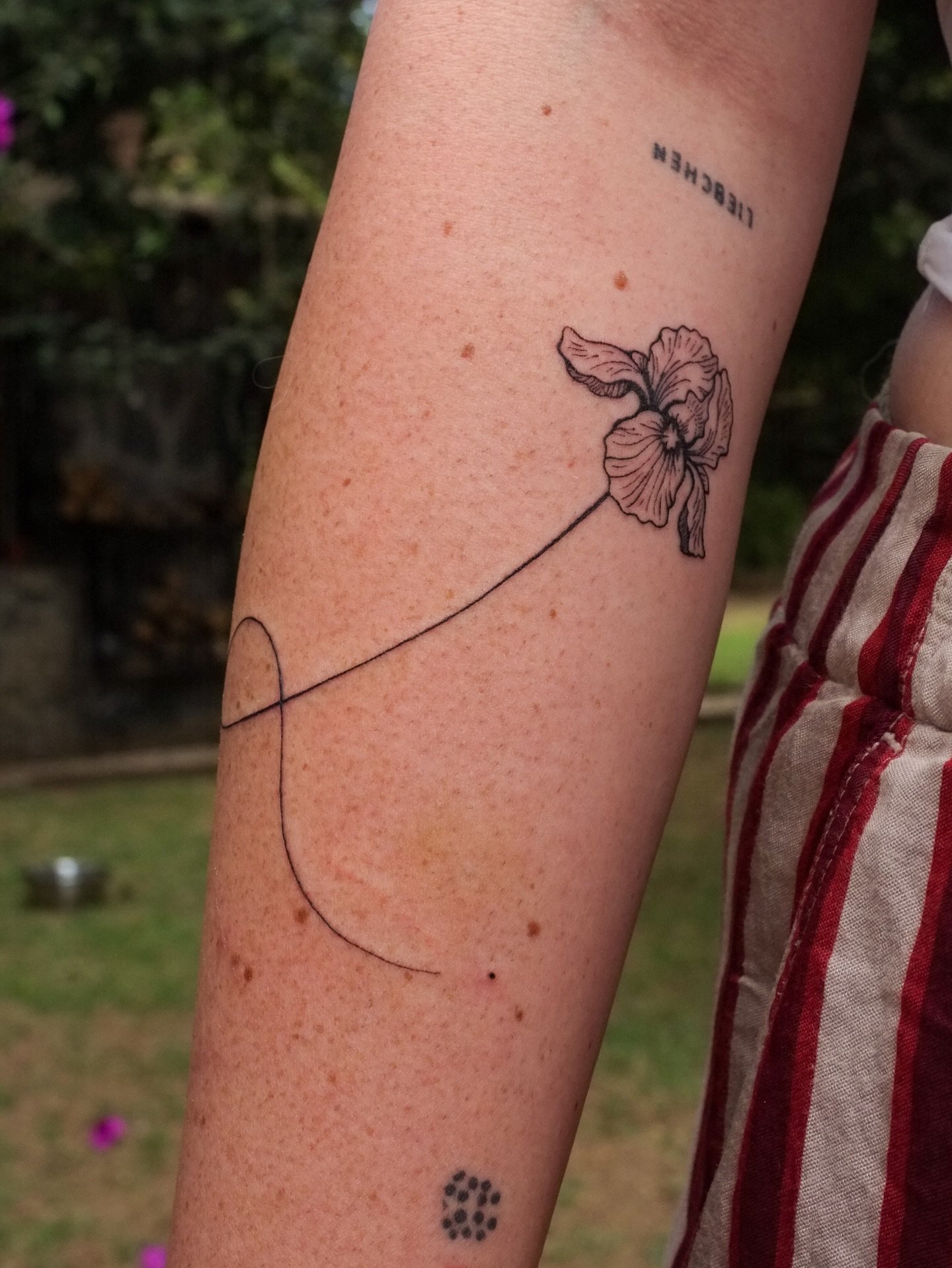 Un iris para mi pana ʕ&bull;ᴥ&bull;ʔ ♡