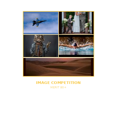 Image Competition Capture 2026