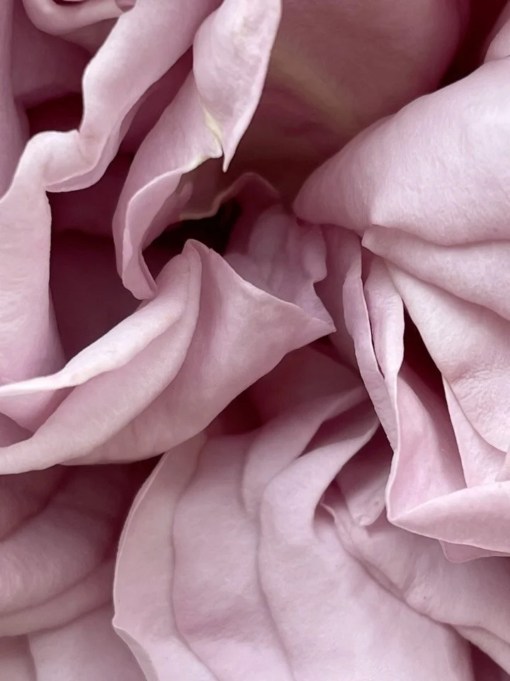 &hellip;and I want to wear flowers!! 

I can&rsquo;t wait for flower season &mdash; long walks, going out to buzzing caf&eacute;s and terraces, sunsets, bike rides, beautiful weather&hellip; and I want to wear flowers! This is what I&rsquo;m working 