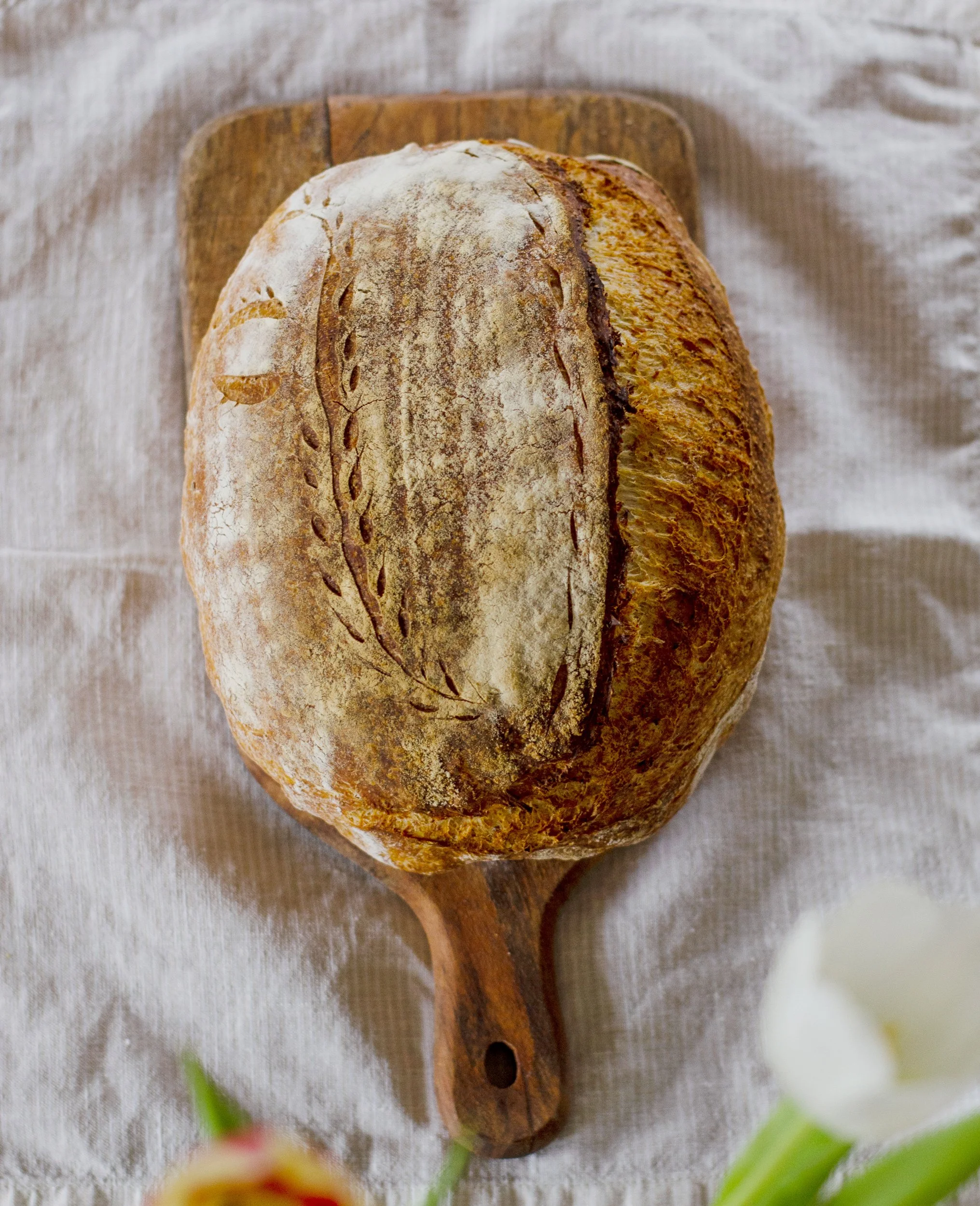 bread-DSC_0481.jpg